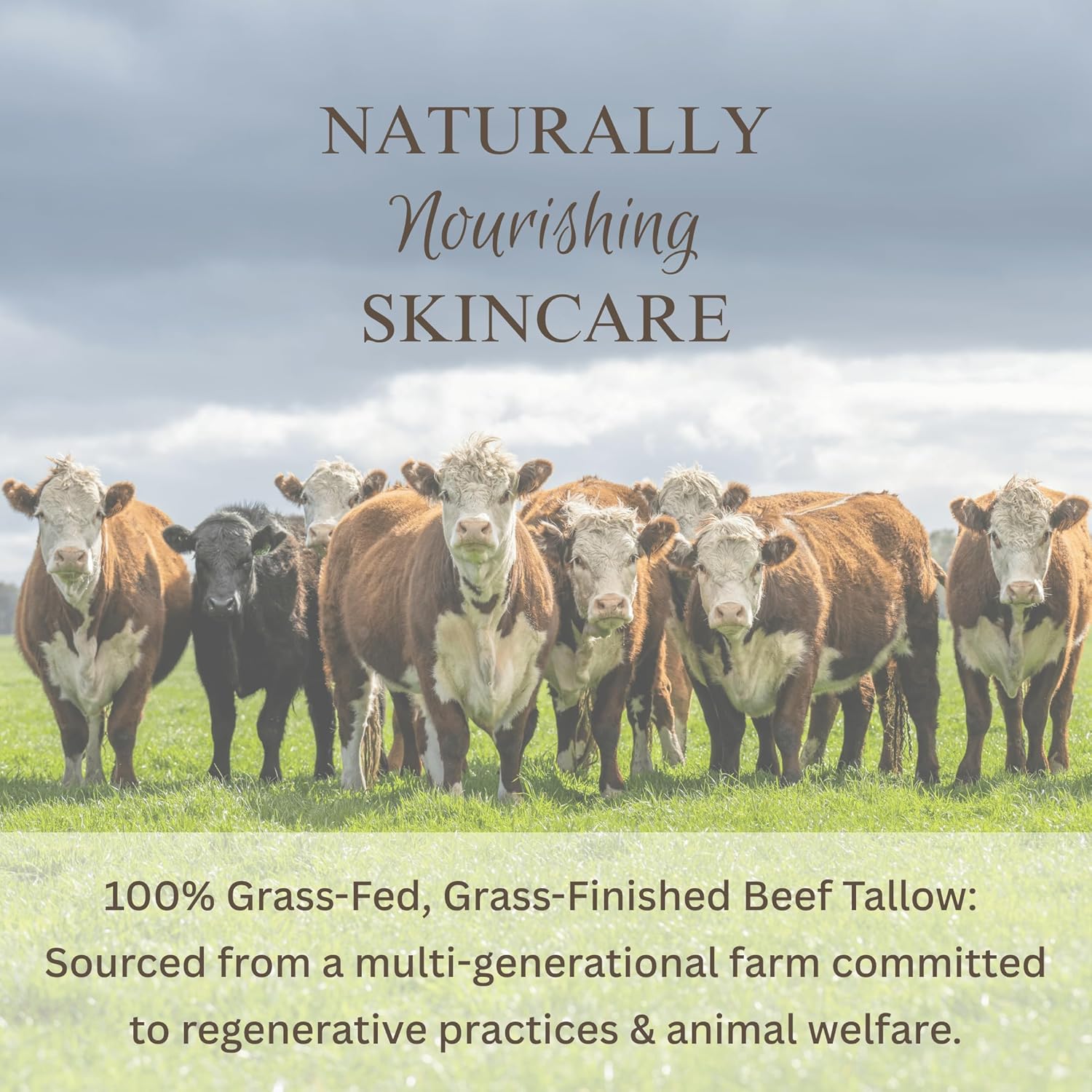 Handmade, 100% Grass-fed Beef Tallow for Skin, Organic Jojoba Oil, Natural Tallow Face Moisturizer for Eczema Relief, Dry Skin, Diaper Rash - 2 oz (Orange & Vanilla)