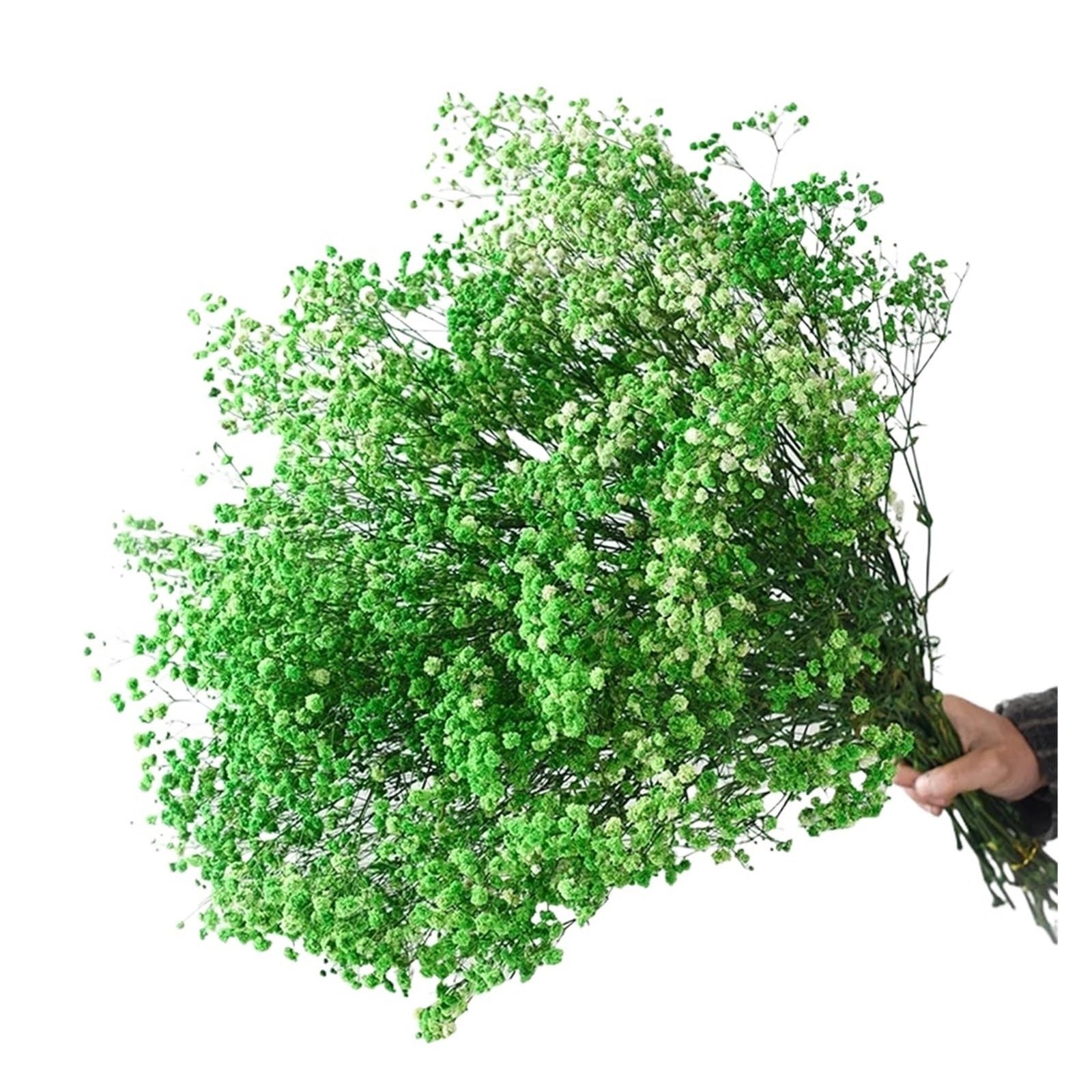 WJIAYAO dried gypsophila flowers 40-50cm Dried Flowers Gypsophila Paniculata,Baby's Breath Flower Bouquets Wedding Decoration,Home Decor(Green,60g (40cm))