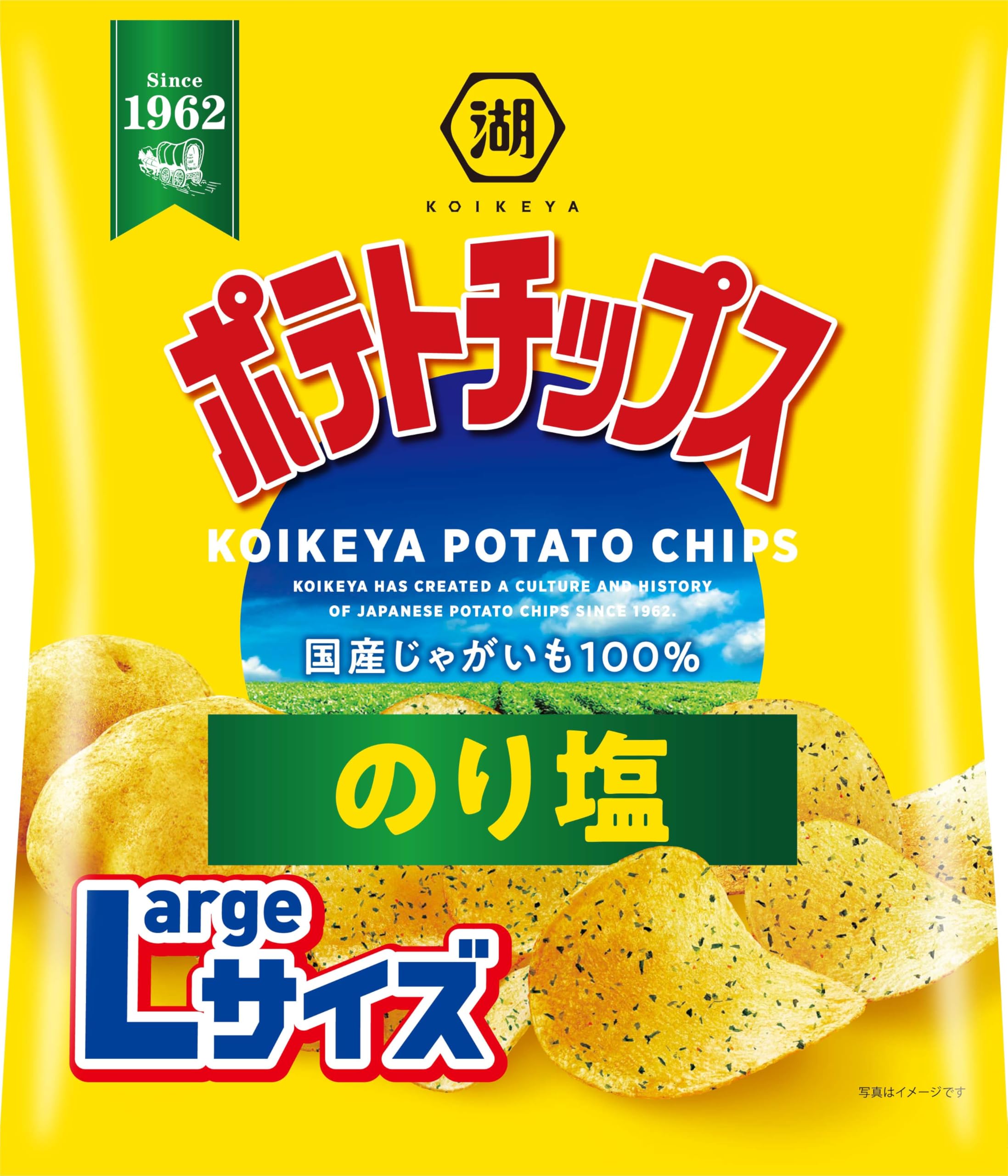 Amazon.co.jp: 湖池屋 Largeサイズ ポテトチップス のり塩 102g✕12袋