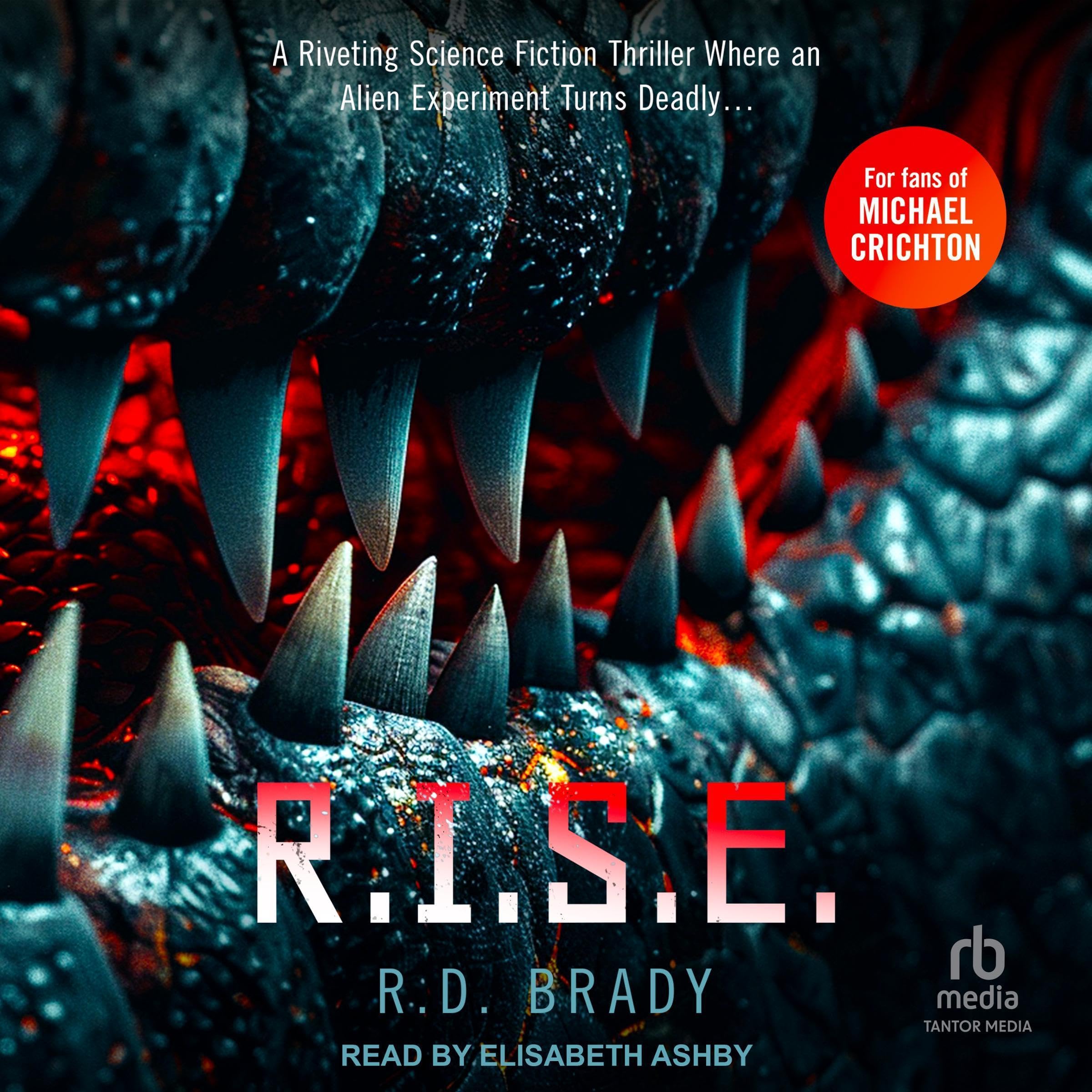 Cover art for R.I.S.E.