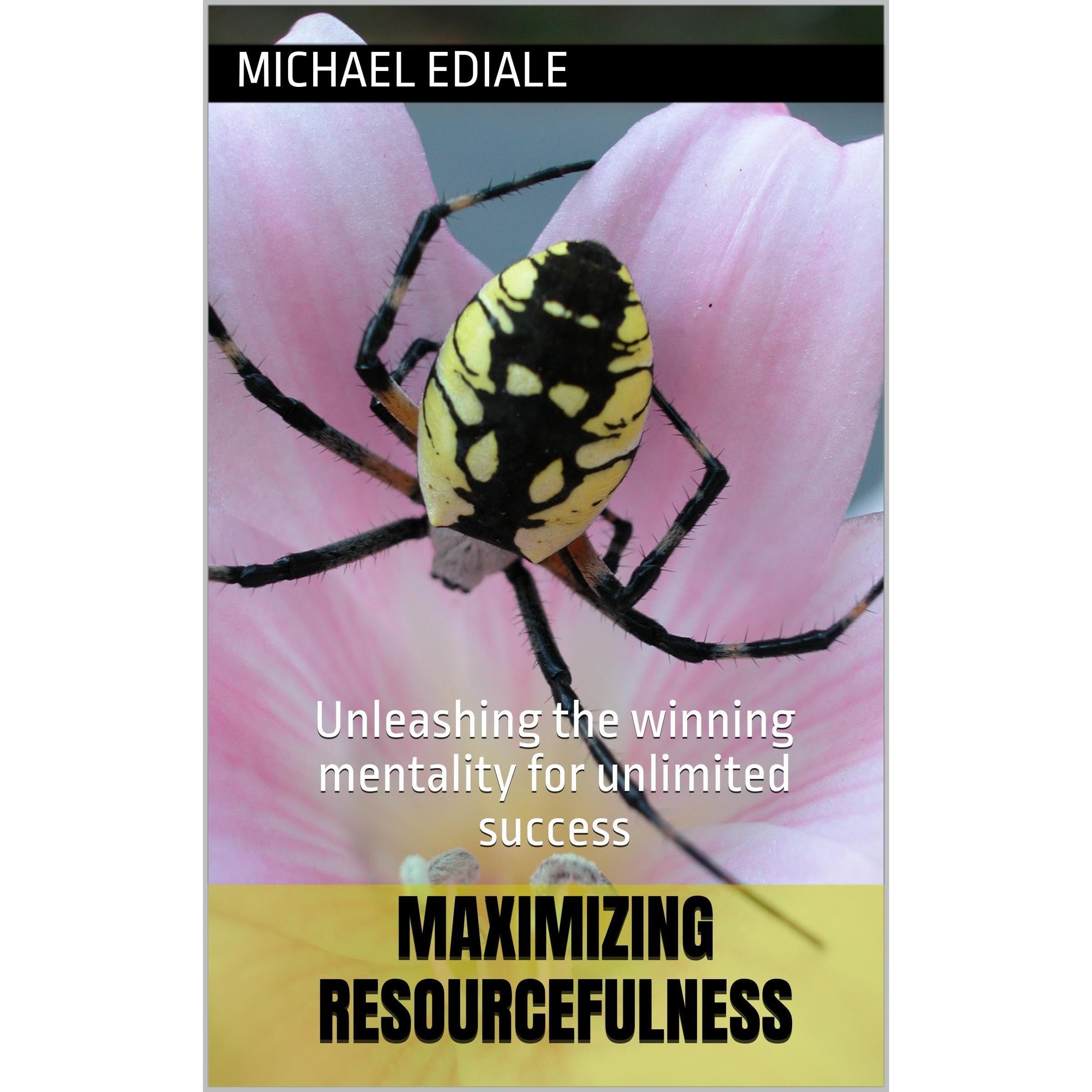 MAXIMIZING RESOURCEFULNESS