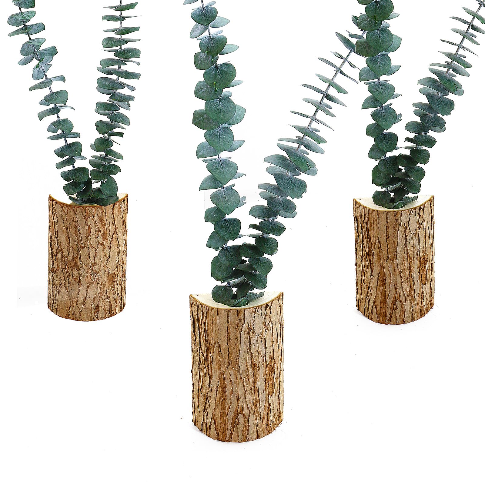 3 Pack Christmas Tree Tabletop, Wood Wall Planters for Indoor, With 6 PCS Real Preserved Eucalyptus Stems, Boho Art Tree Stump Vases Decor for Dried Flowers and Faux Greenery, Modern Farmhouse Decor