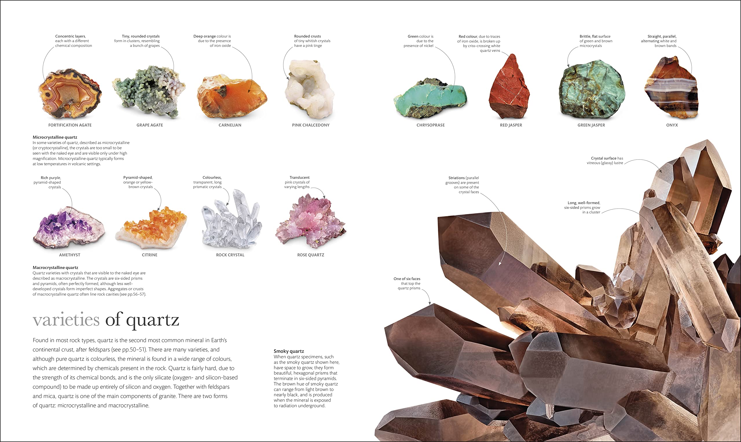 The Science of the Earth: The Secrets of Our Planet Revealed (DK Secret World Encyclopedias)