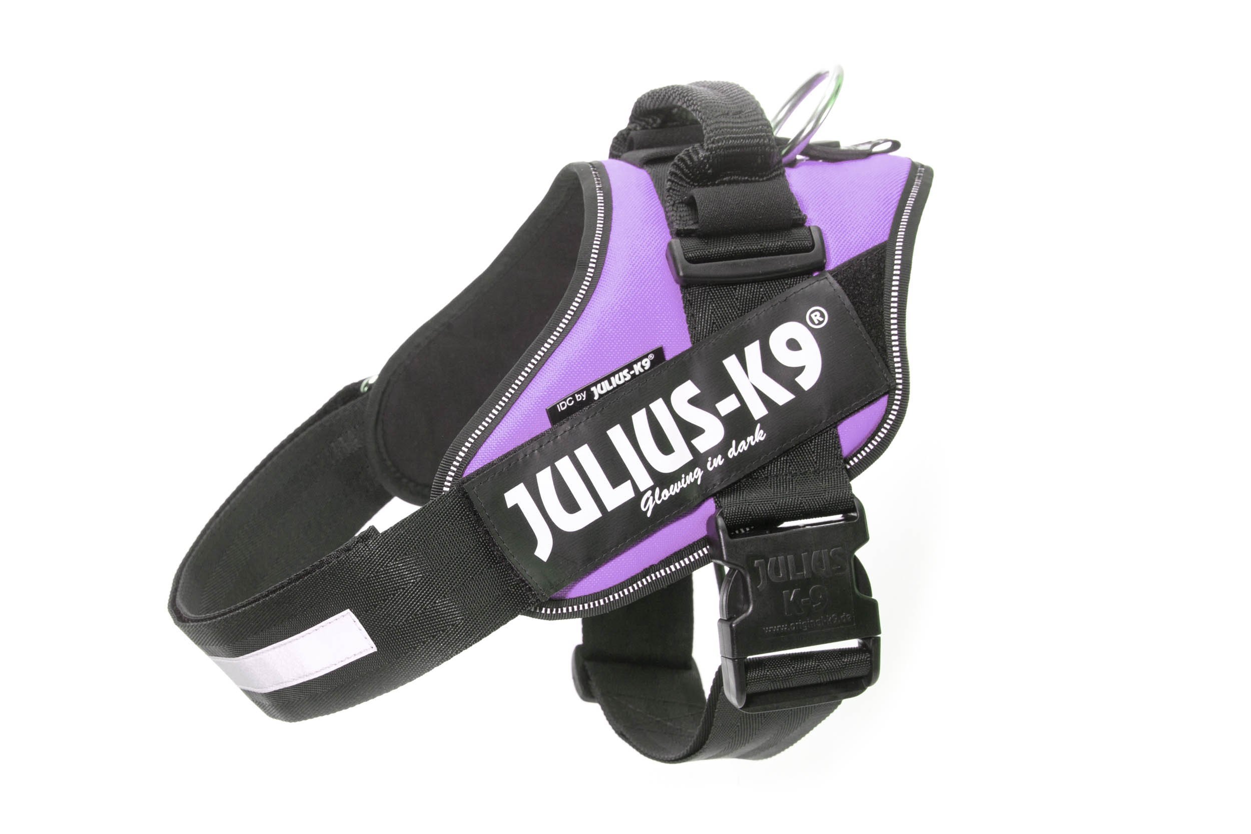 Julius-K9, Pettorina IDC Power, Taglia: L / 1, Colore: Viola