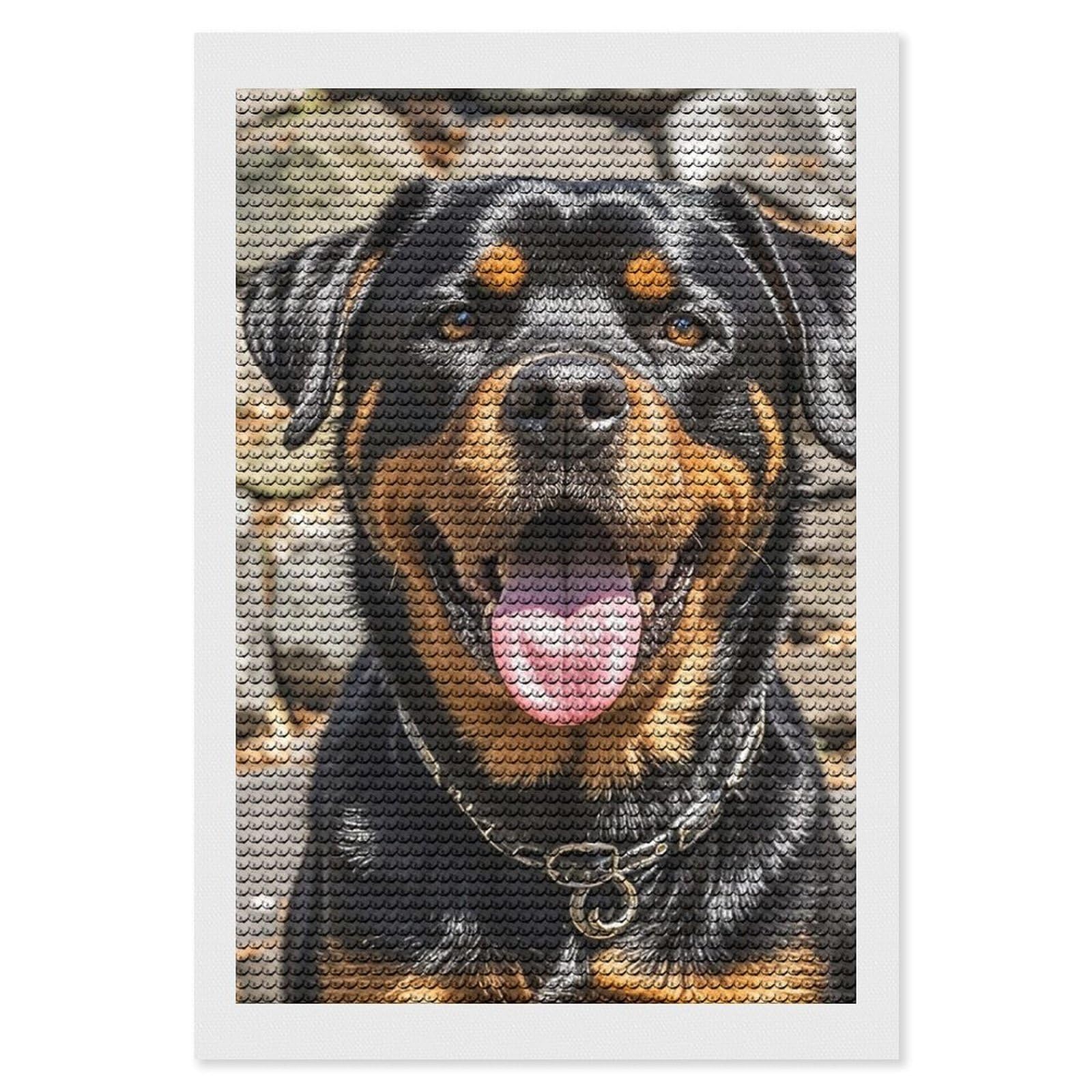 Diamond Painting Kit Completo,Cane rottweiler Pittura Diamante 5D Fai Da Te,Diamond Painting per Bambini e Adulti,Strass Diamond Ricamo Punto Croce Craft Arts for Home Wall Decor Round Drill,30x40cm