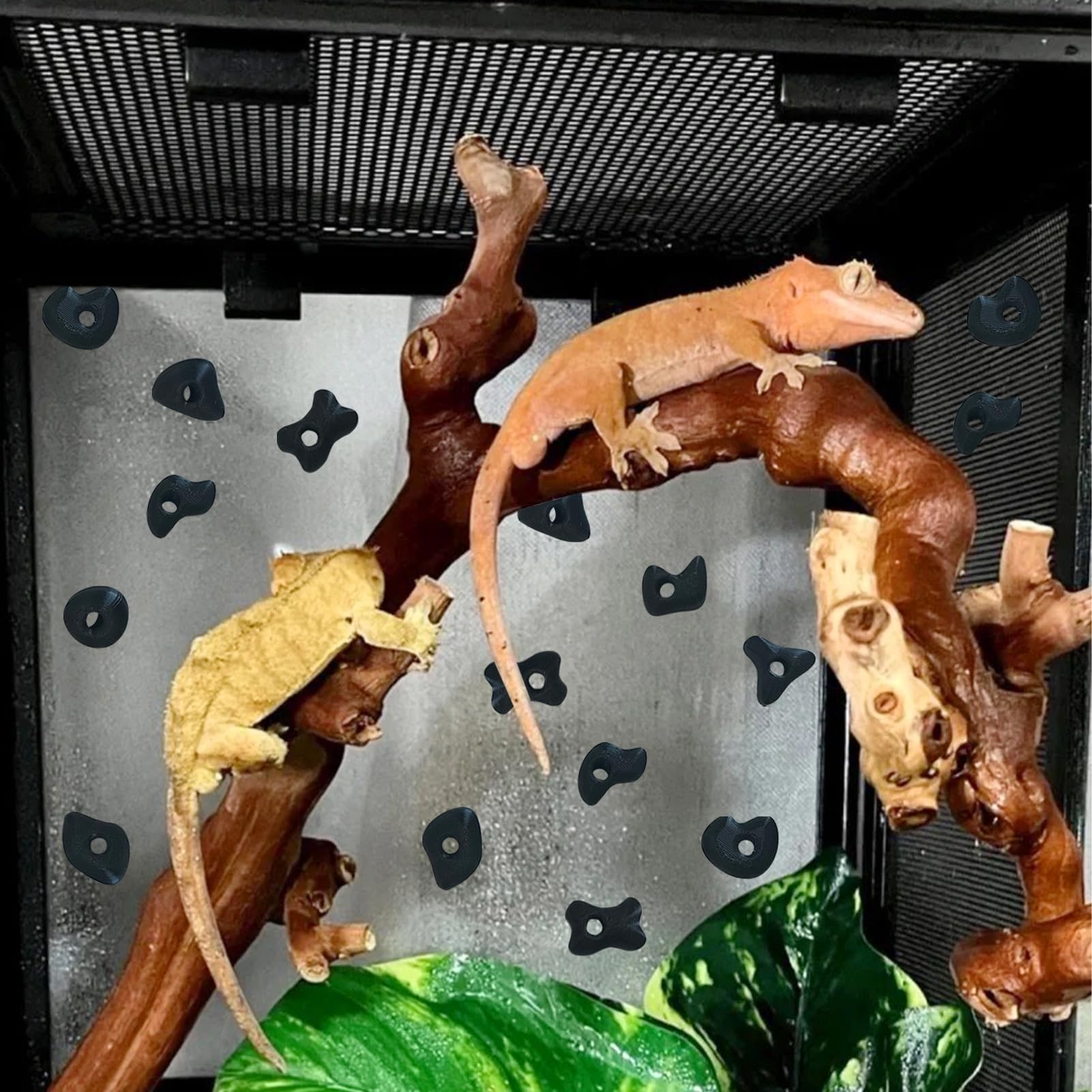 Okueejur 32PCS Rock Climbing Holds for Bearded Dragons Climbing Rock Wall Grips for Bearded Dragons Tank Accessories Reptiles Toy Rock Wall Holds (Black) - Image 3