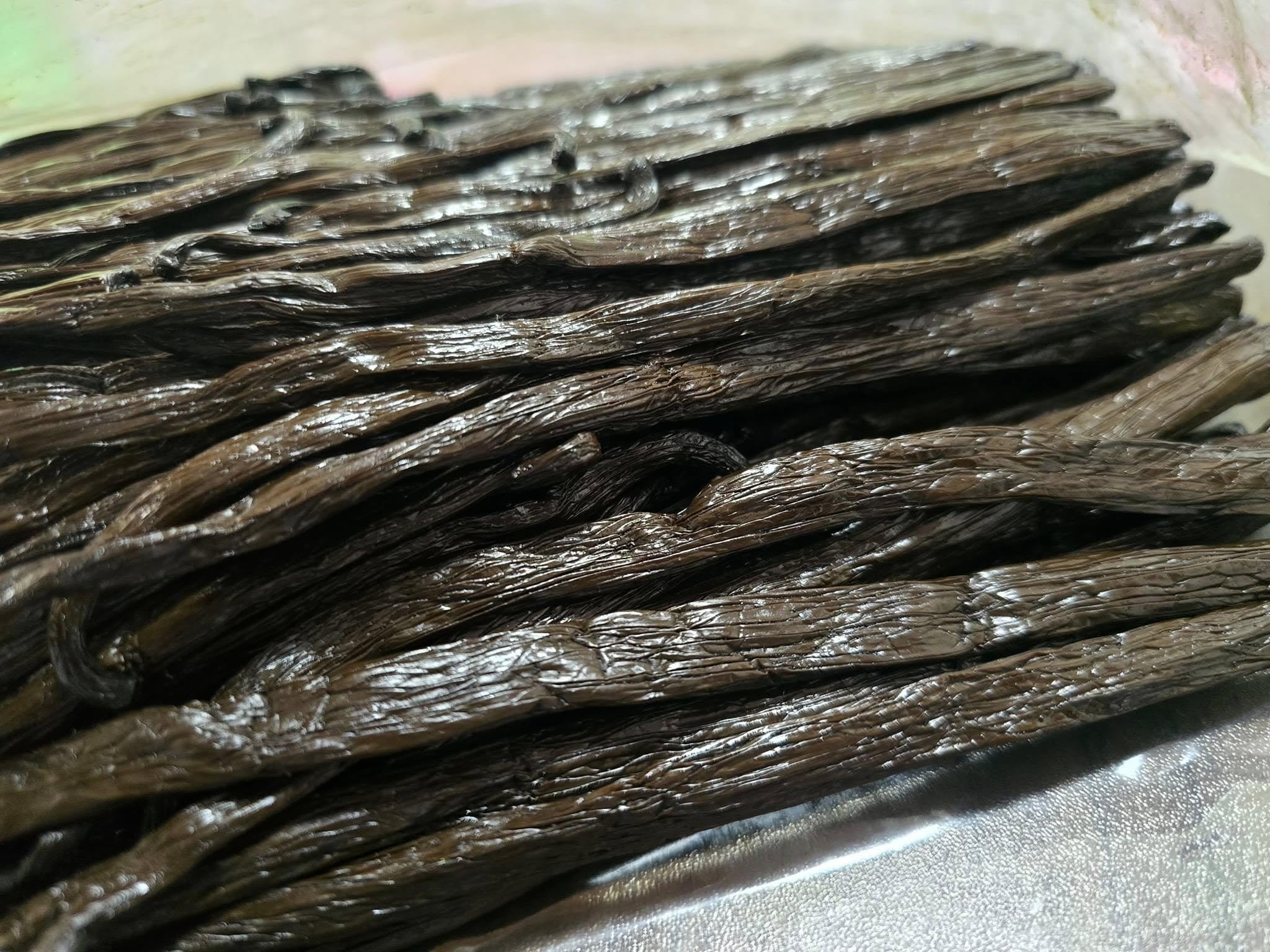 25 Baccelli di Vaniglia Bourbon del Madagascar Premium – Bacche 14/15 cm Carnose e Morbide – Alta Concentrazione di Aroma – Qualità Gourmet (25 Baccelli)
