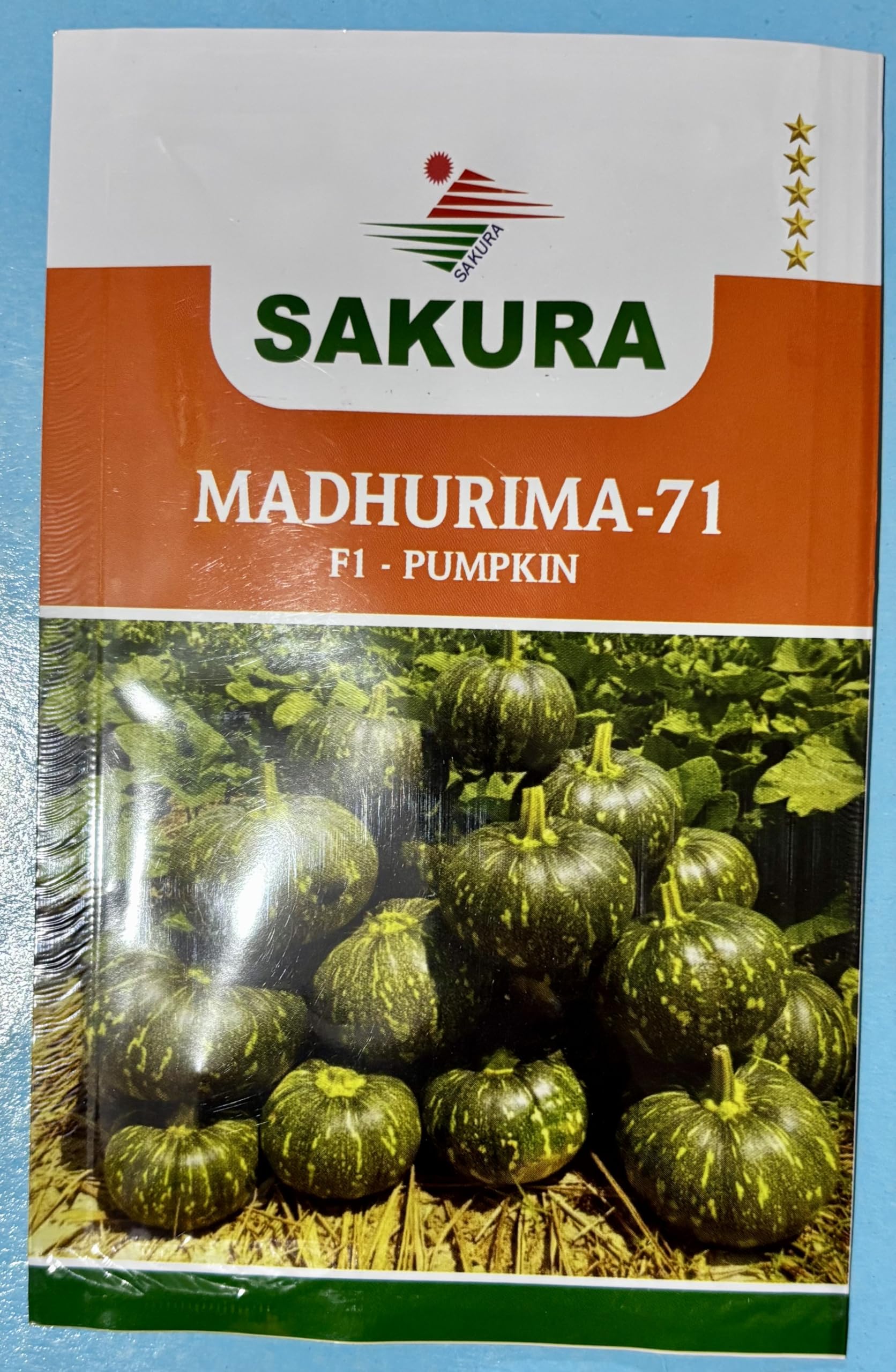 PUMPKIN SEED F1 HYBRID (MADHURIMA-71) 10GM : Amazon.in: Grocery