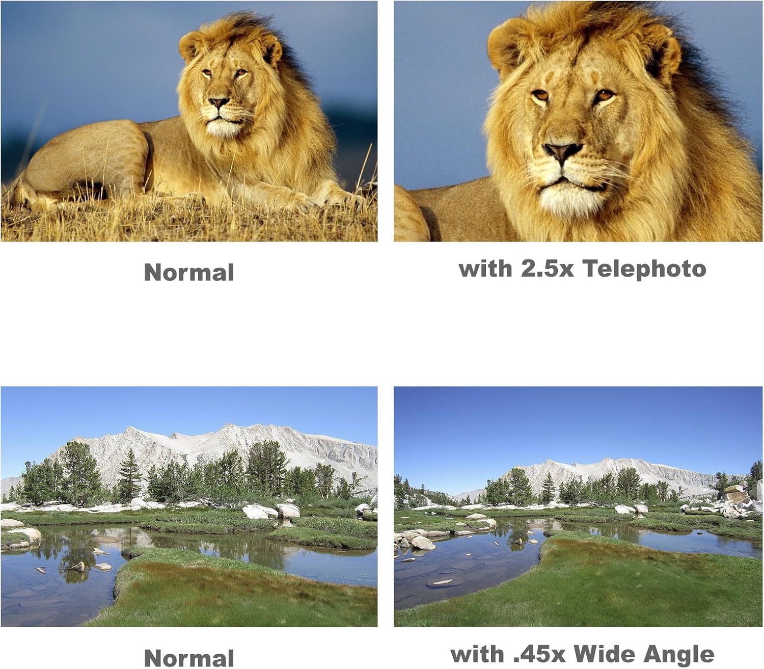 Comparison images showing the effect of wide angle and telephoto lenses. Top row: Normal lion image vs. lion image with 2.5x Telephoto. Bottom row: Normal landscape image vs. landscape image with .45x Wide Angle.