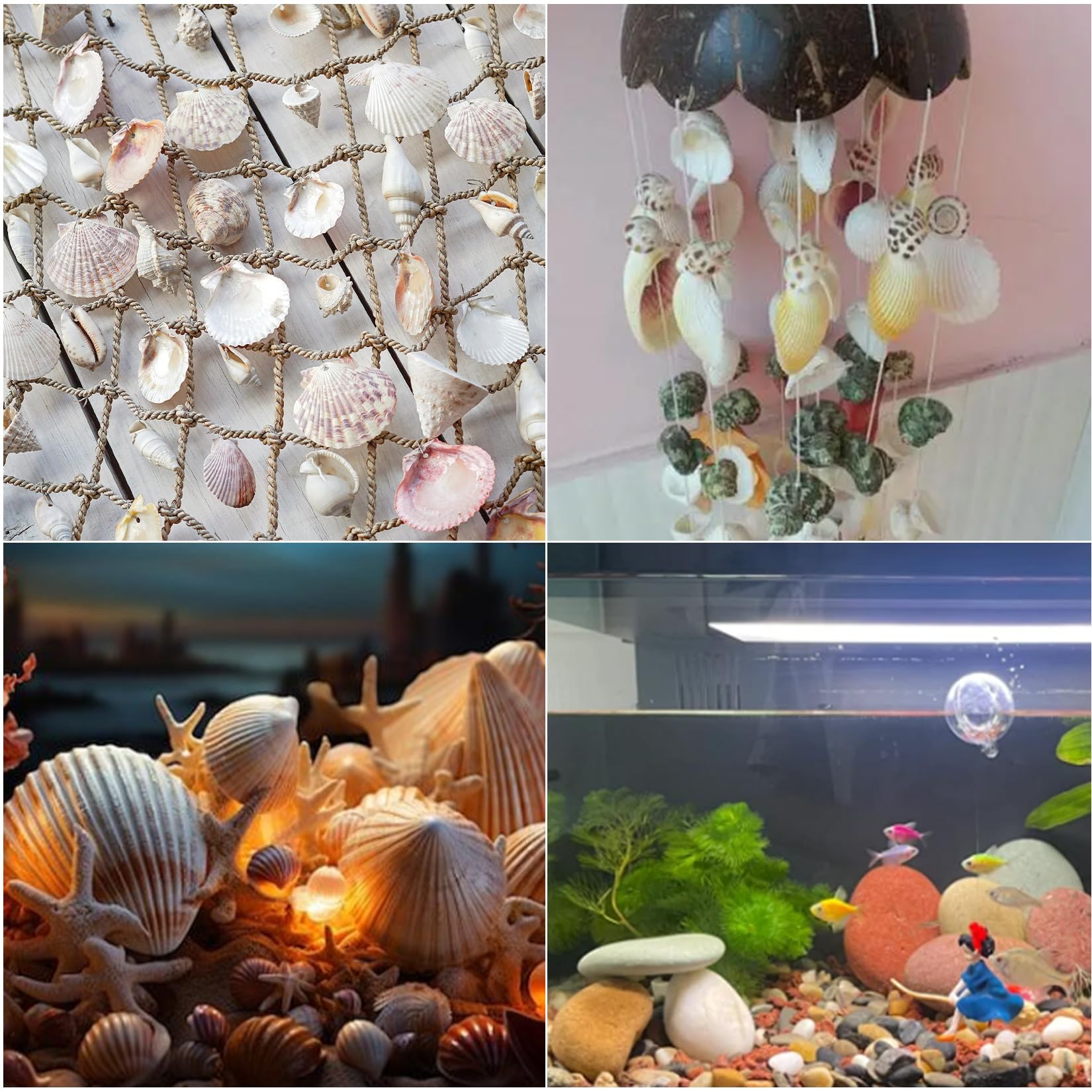 500g Conchiglie Decorative, Conchiglie Marine Naturali da 2-8 cm, Conchiglia per Decorazioni Mare Oceano Artigianato fai da te Acquari Feste a Tema Spiaggia Matrimoniali DIY