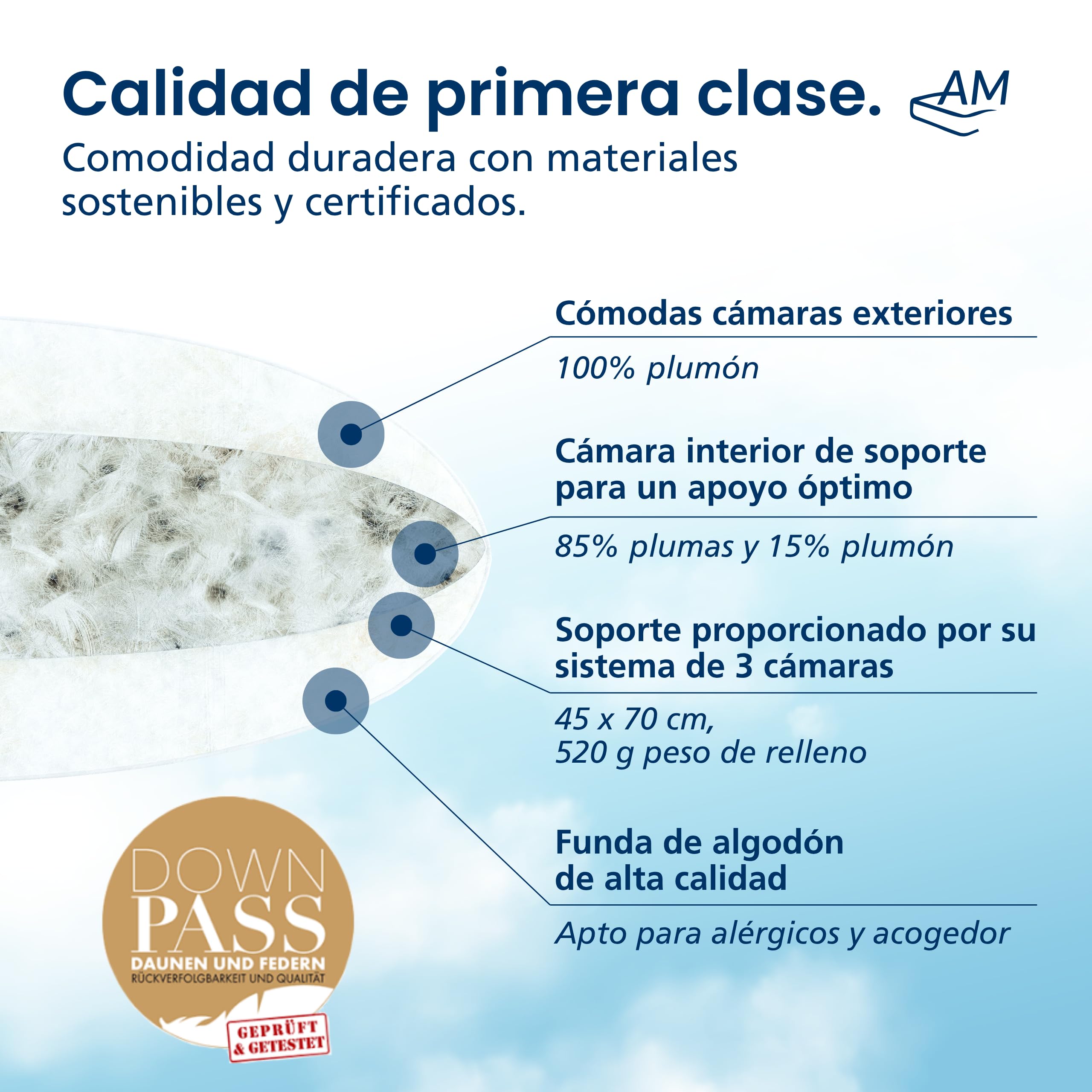 Almohada de plumón 45x70 - Made in Germany Almohada 3 cámaras 45x70 cm - Cámara Exterior 100% plumón - Almohadas Plumas 45x70 Apta para alérgicos - Cojin Relleno de Plumas Set de 2