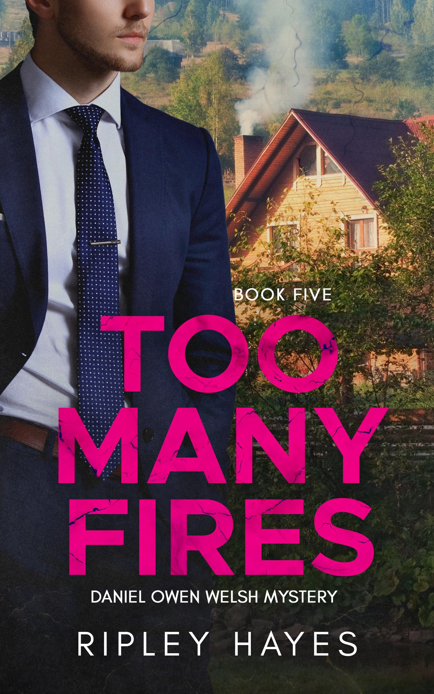 Too Many Fires: A Gay Mystery: Daniel Owen Welsh Mysteries 5