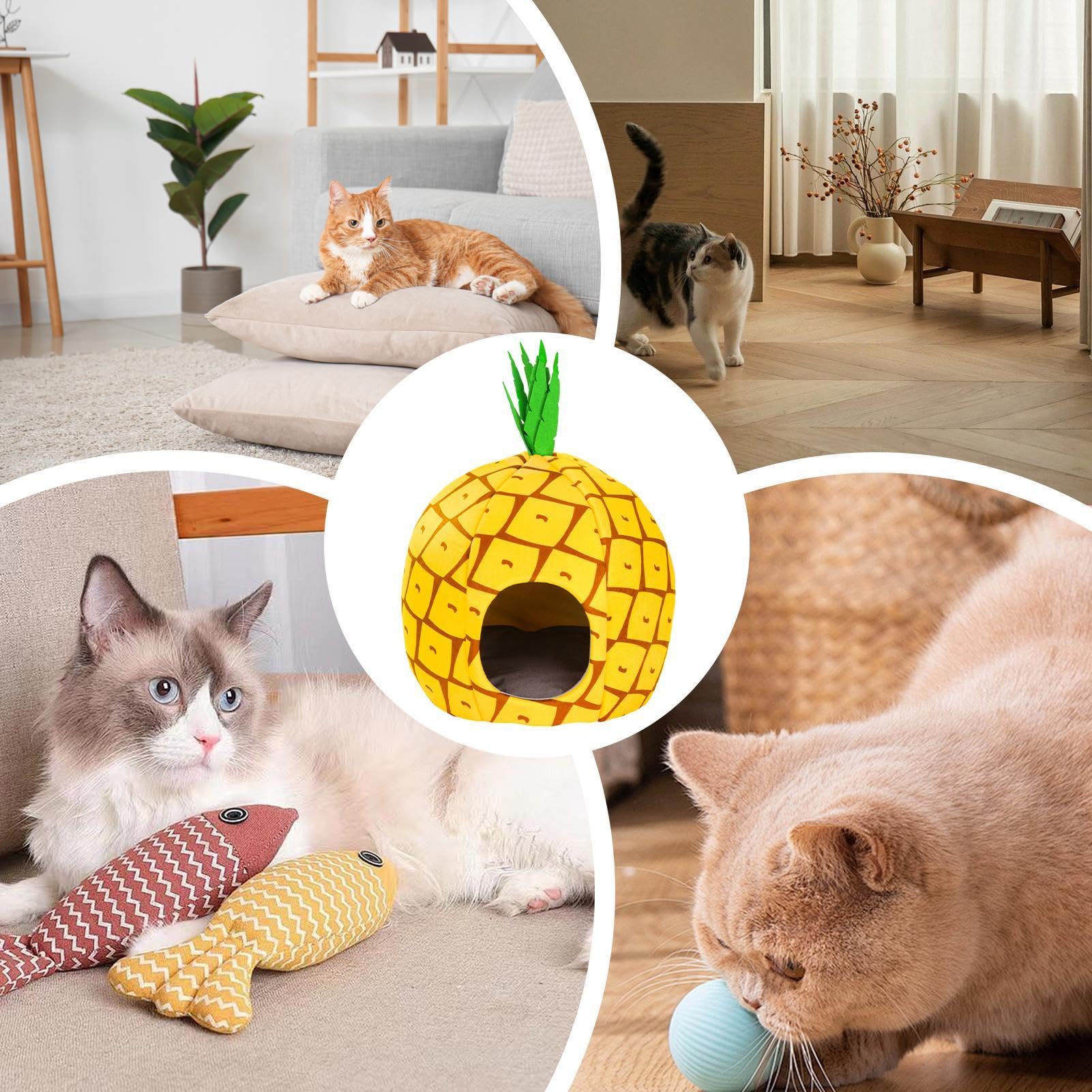 Cuccia per animali domestici, letto per gatti riscaldato, letto per gatti chiuso con riscaldamento, letto riscaldato con temperatura regolabile e timer, comodo per animali domestici con porta | chiuso con riscaldamento, riscaldato con temperatura regolabi