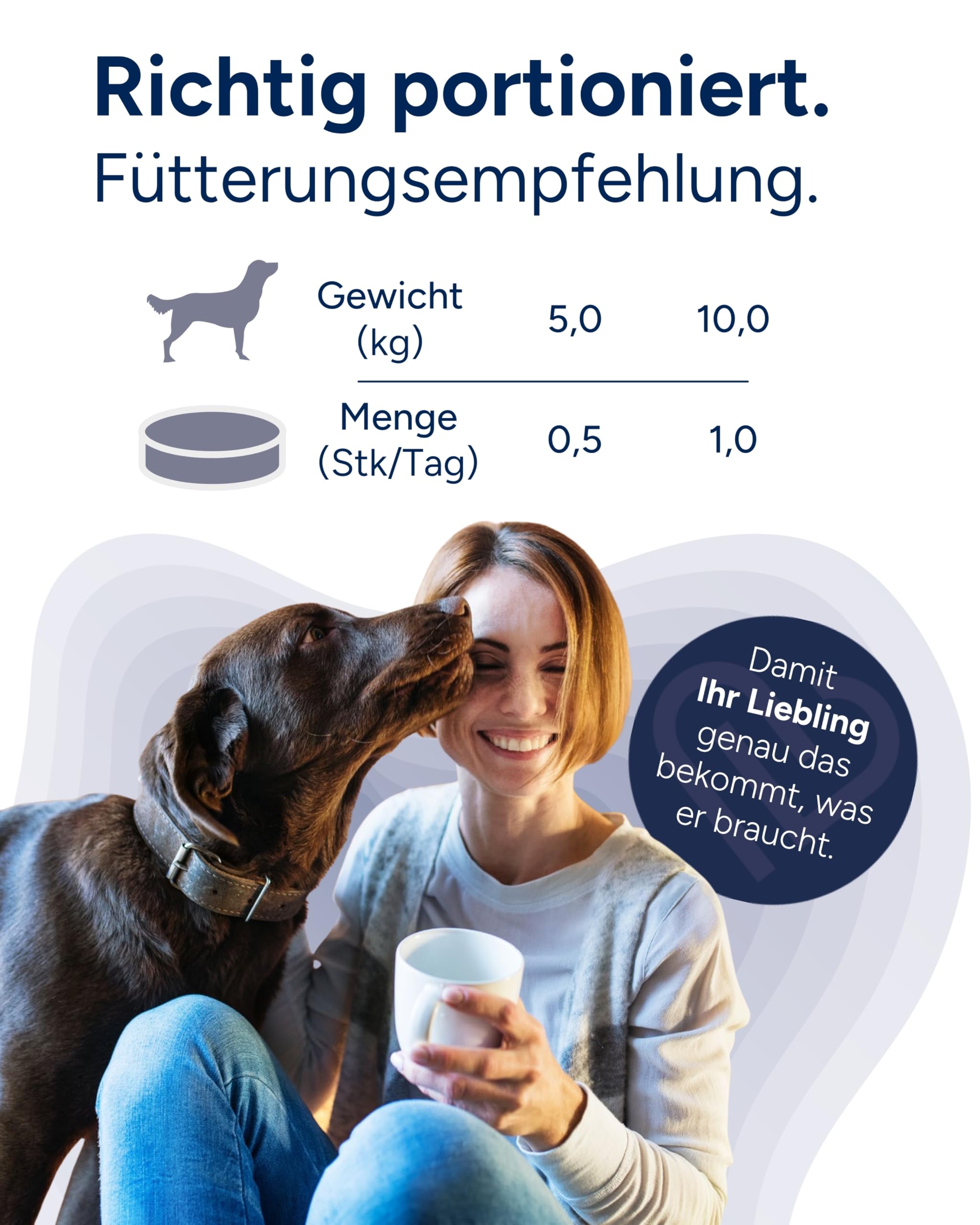 NutriLabs Geridex® Tabletten für Senioren-Hunde 60 STK. - Seniorentabletten für Hunde mit Glucosamin, Weißdorn u.v.m. - Hunde-Nahrungsergänzung - Teufelskralle-Tabletten - MSM-Hund