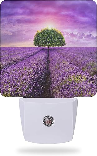 AOWULA Luz nocturna, hermoso árbol de lavanda enchufable de pared, luces nocturnas LED para habitación de niños y niñas, lámpara de pared con sensor