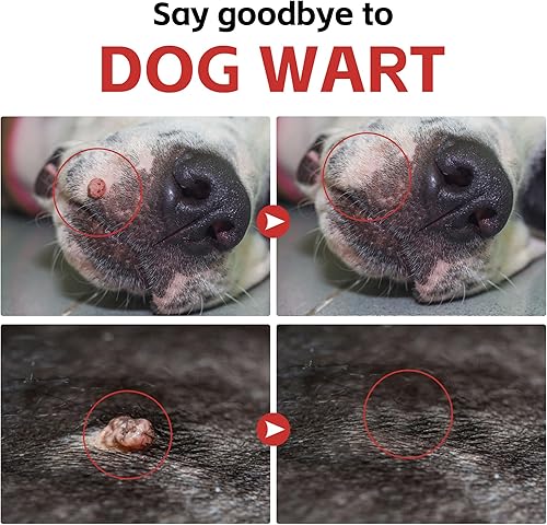 Miniatura 4 de Soporte de verrugas y golpes para perros, lipoma y protector de salud celular, polvo de apoyo inmunológico con hongo de cola de pavo, L-lisina,