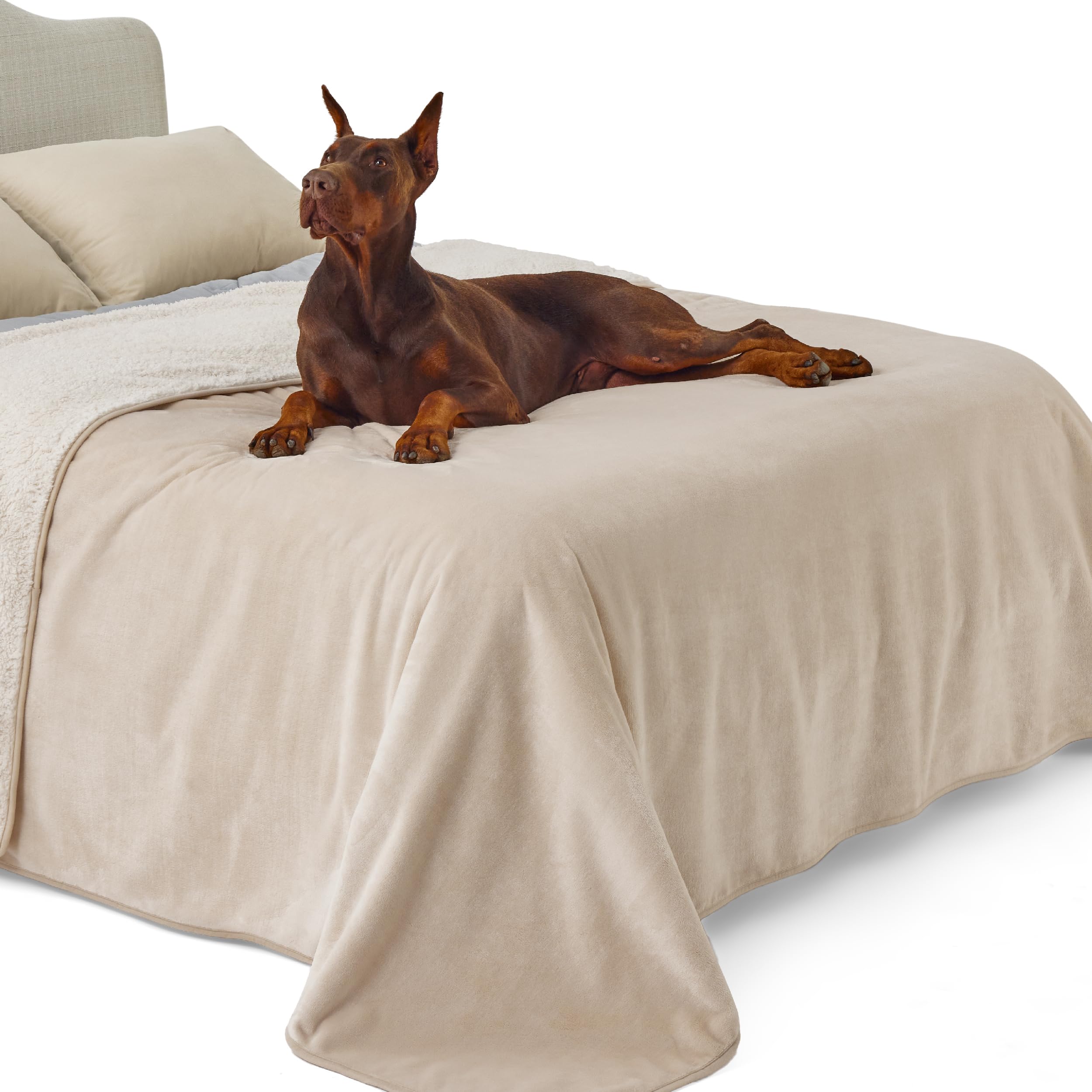 LE SURE Coperta Impermeabile per Cani di Taglia Grande - Coperta Lavabile per Cani 274x218 cm, Protezione per Divano in Pile Sherpa, Coperta per Gatti Morbida e Soffice, Crema