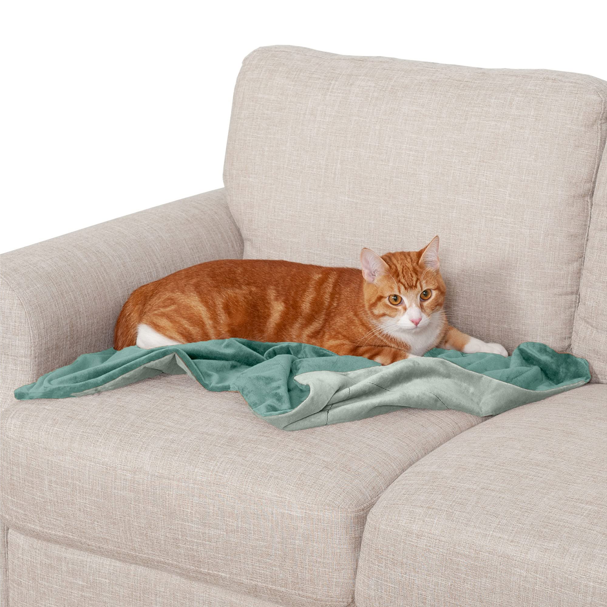 Furhaven Small Waterproof Two-Tone Luxe Velvet Dog Blanket, Washable - Celadon Green, Small โ image 1