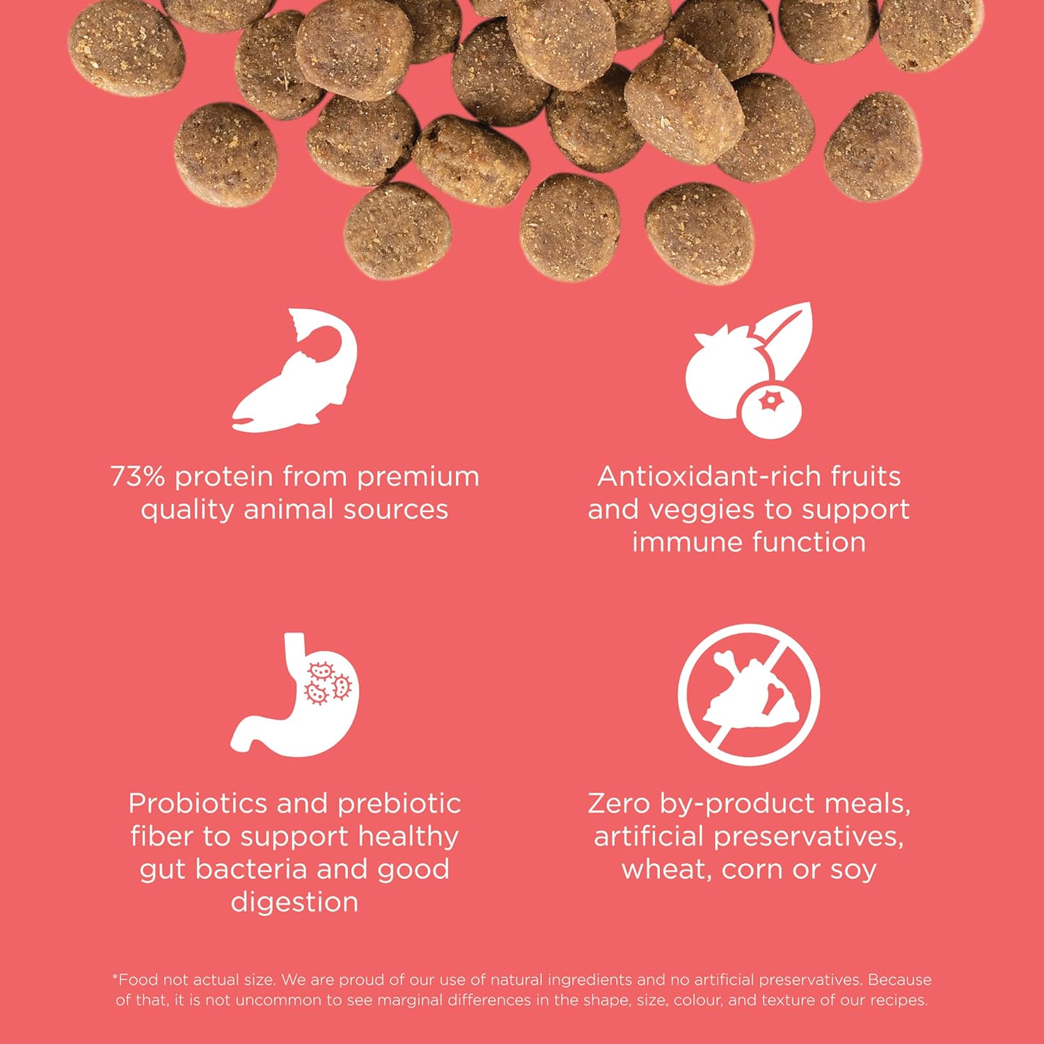 Go! Solutions Carnivore Salmon + Cod Grain-Free Dry Dog Food, Our Highest-Protein Kibble Made with Real Meat & Fish, Chicken-Free Recipe, for Puppies, Adults & Seniors, 3.5 lb Bag - Image 4