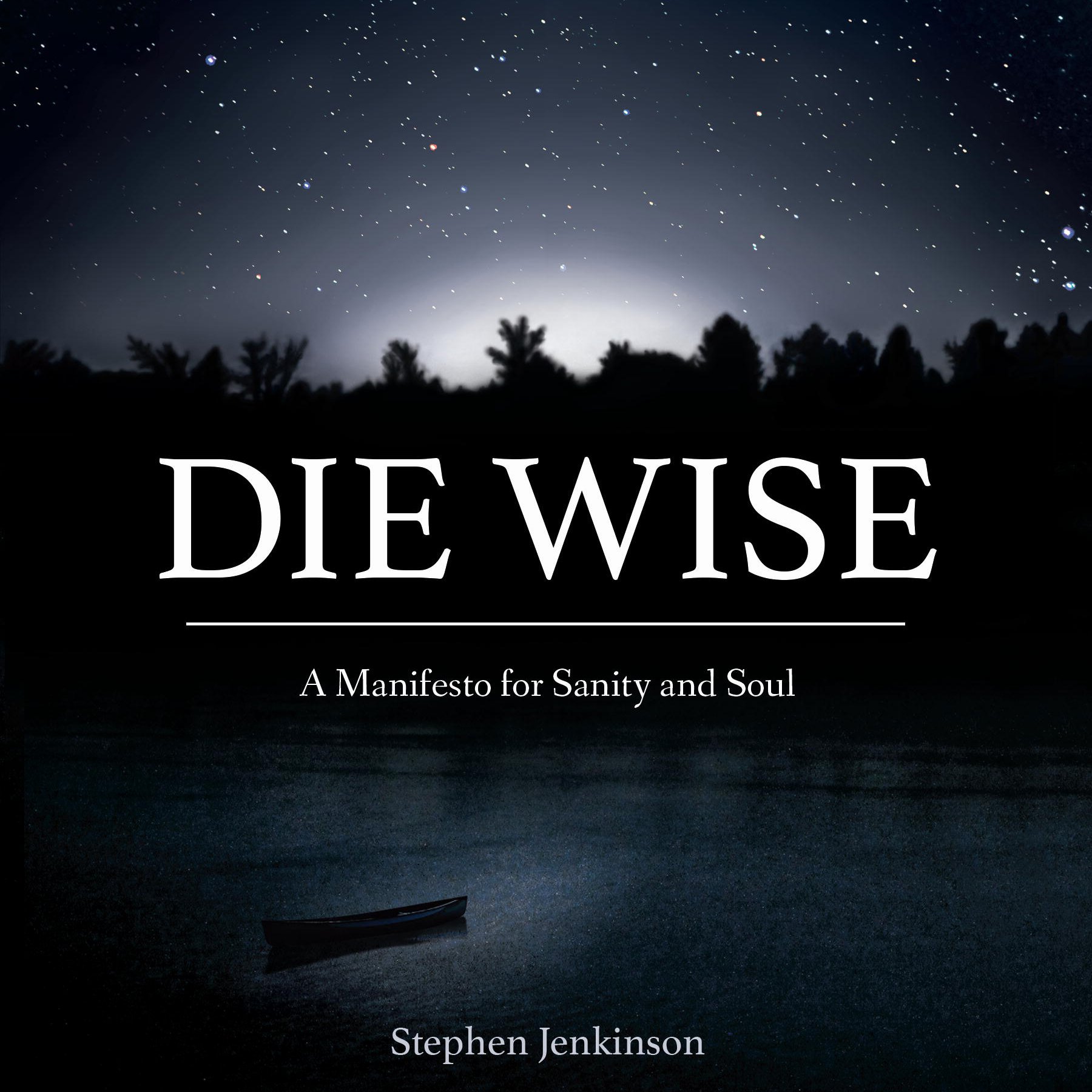 Cover art for Die Wise