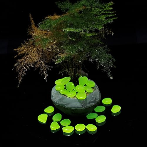 Miniatura 6 de chic style 150 piedras de jardín que brillan en la oscuridad para pasarelas y decoración (verde)