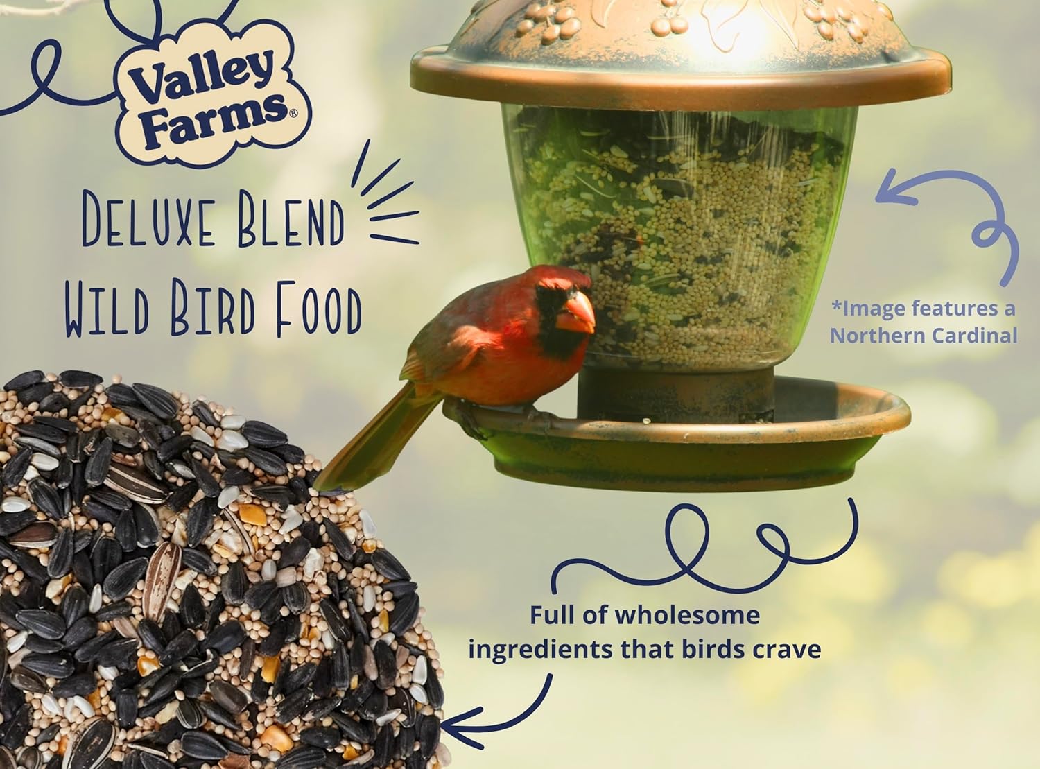Valley Farms Deluxe Blend (4 LB) Wild Bird Food for Outside Feeders with Black Oil Sunflower Seed, Safflower Seed for Birds - Select Birdseed