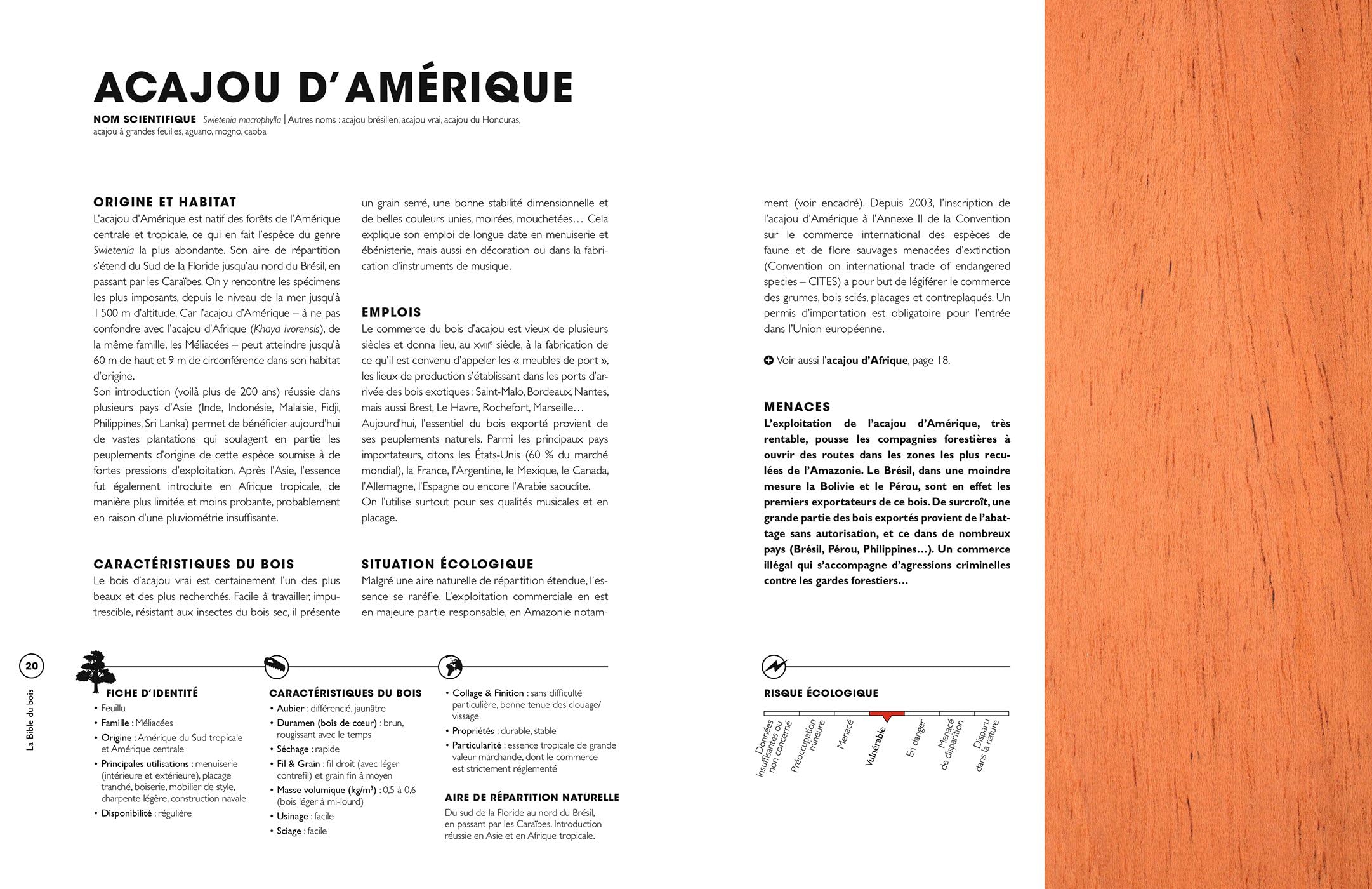 La bible du bois - Nouvelle édition