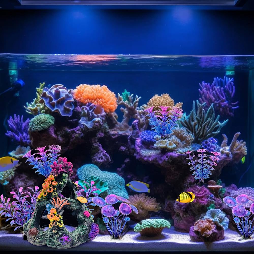 coral reef  Coral+restoration+in+Kenya.