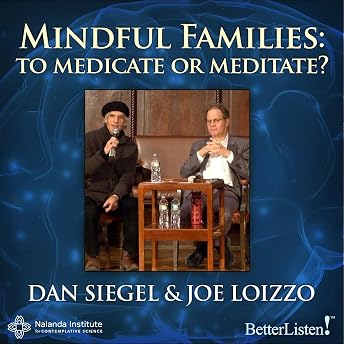 Mindful Families Audiobook by Joe Loizzo episode artwork