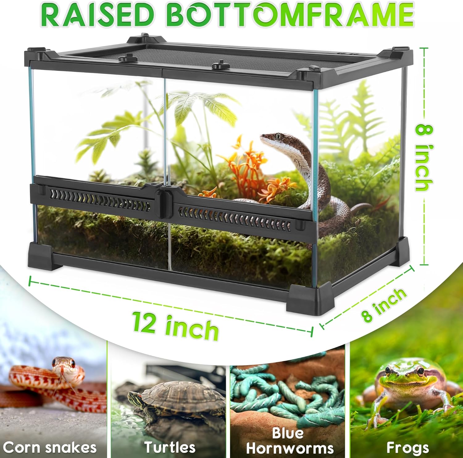 Mini Reptile Glass Terrarium 12"x8"x8" Durable Reptile Habitat Tank with Heat Resistant Aluminum Alloy Frame, Double Swinging Doors for no Jam by Sand and Other Debris