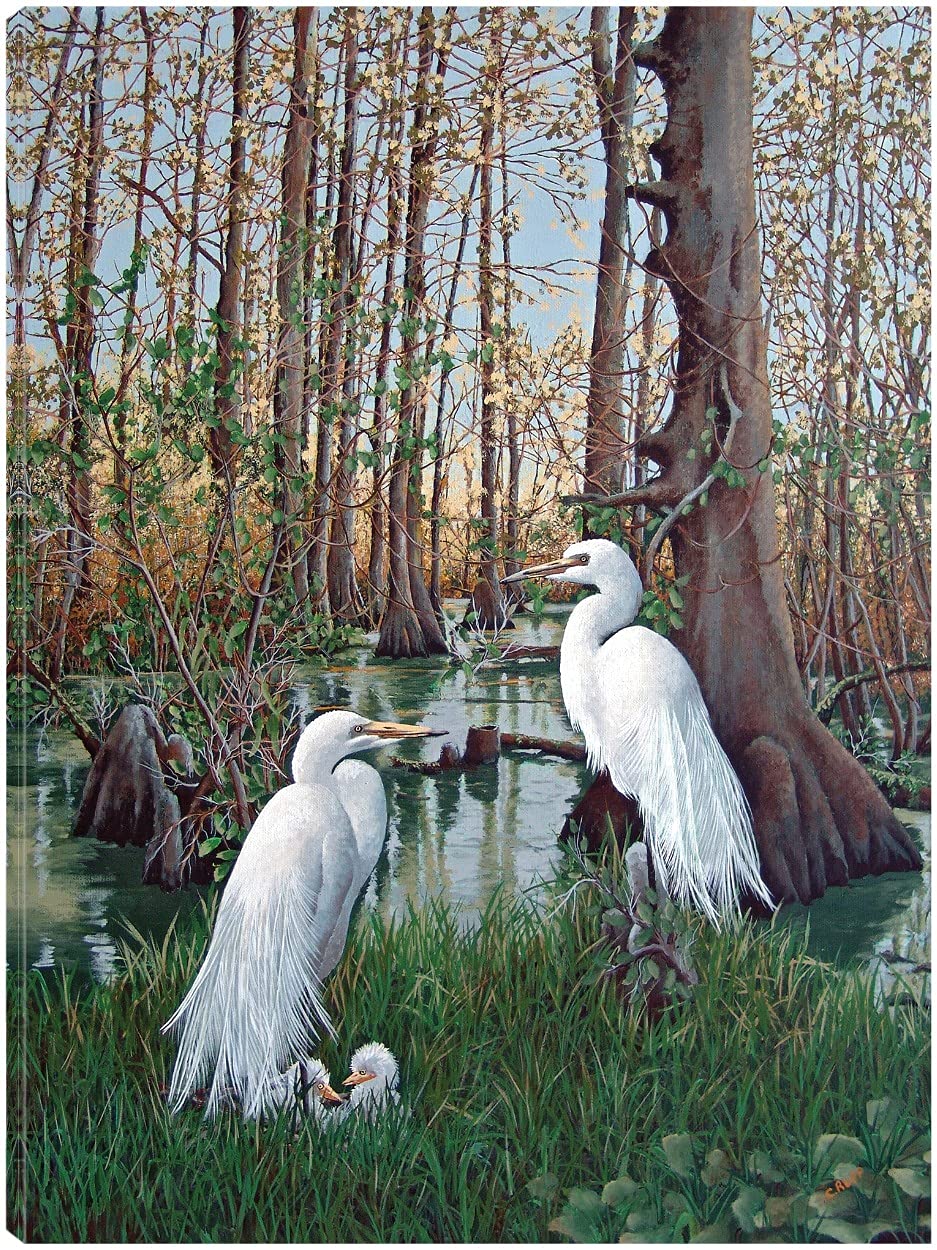 Fine Art Canvas Snowy White Egret Nesting Canvas Wall Decor by Artist Carol J Rupp for Living Room