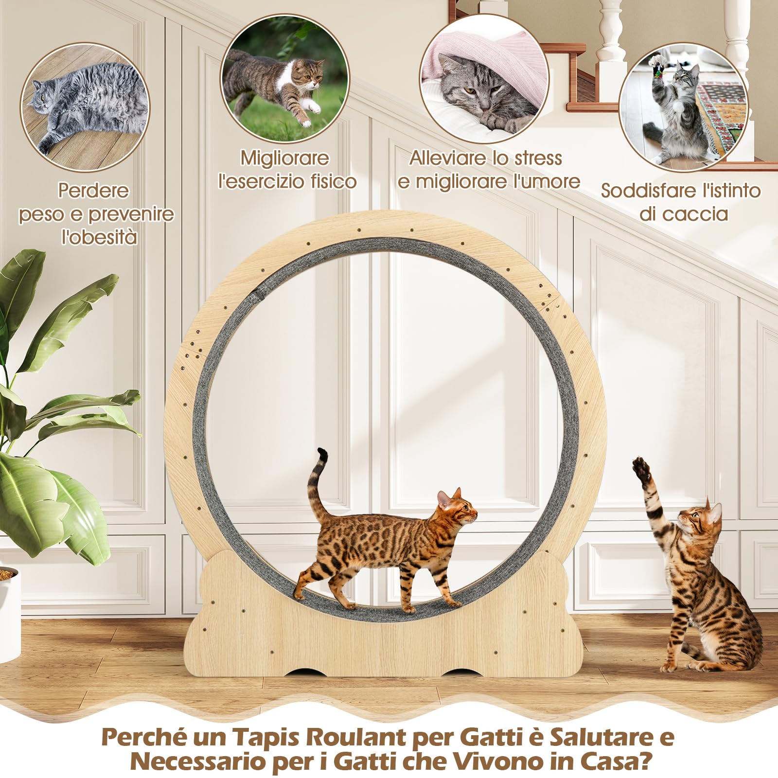 COSTWAY Ruota per Esercizio per Gatti da Interno 101 cm, Tapis Roulant per Gatti con Meccanismo di Blocco, Corsa con Moquette Rimovibile, Ruota di Allenamento in Legno a Rumore Ultra Basso