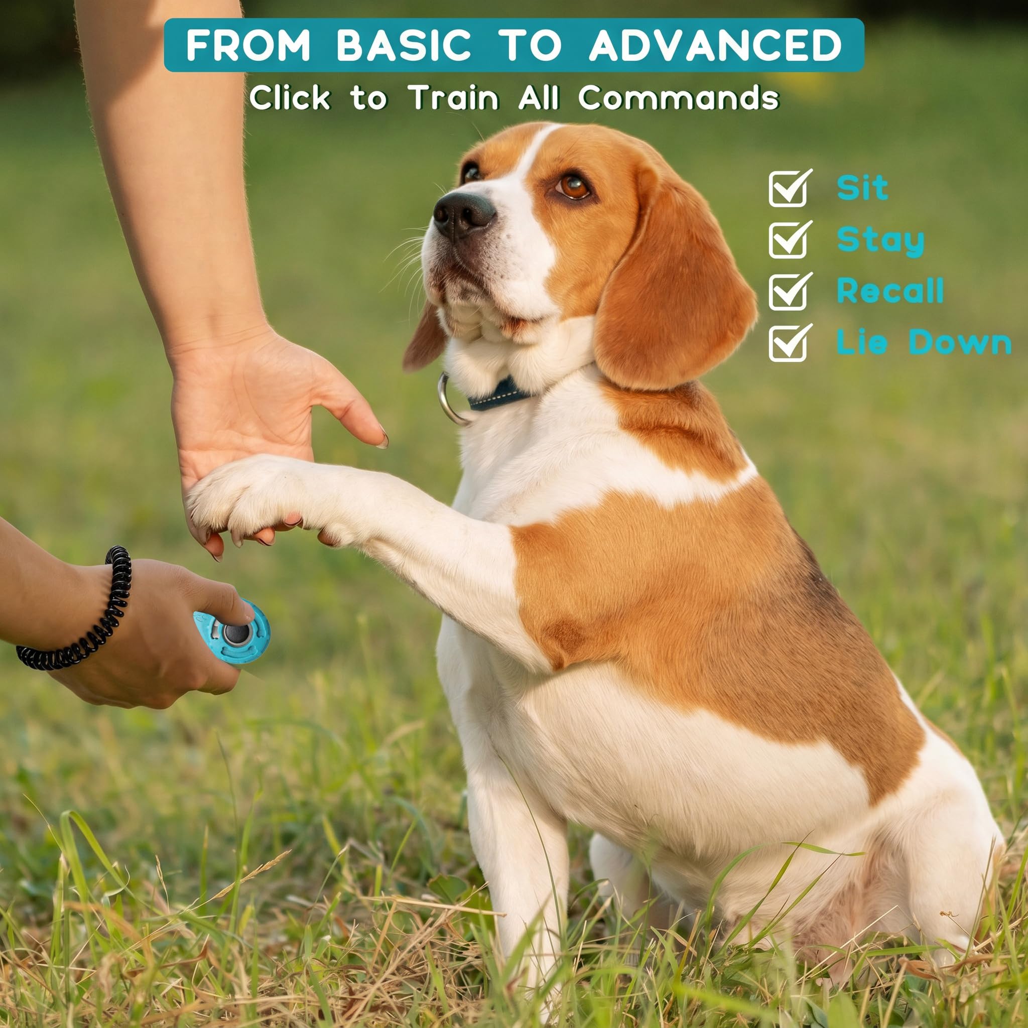 Newnewstar Pet Training clicker con Cinturino da Polso – Dog Training Clickers, New Black + Blue
