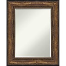 Amanti Art Bronze Wall Mirror 32x26 Ballroom Bronze Rectangle Bathroom Mirror for Wall Decor Living Room, Medium Traditional Frame, Hangs Horizonally and Vertically, Bathroom Decor, Beveled Edge