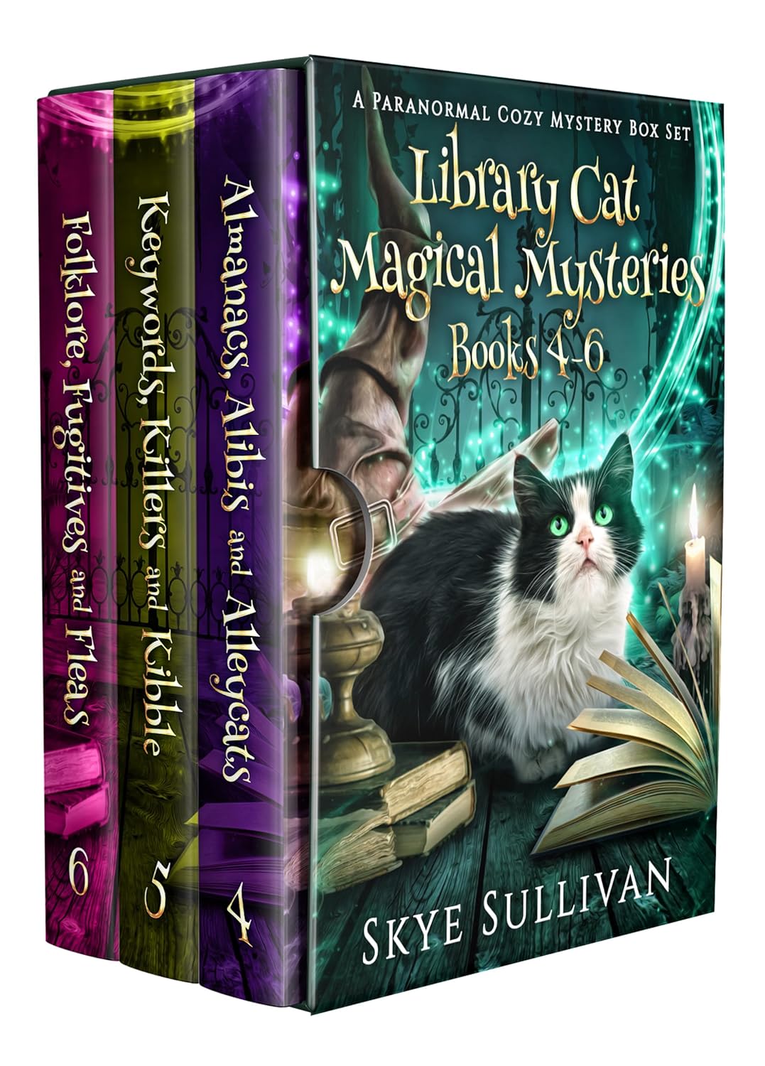 Amazon.com: Library Cat Magical Mysteries Box Set (Books 4-6) (LIbrary ...