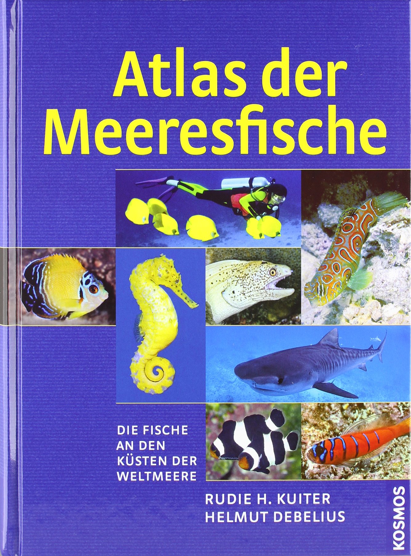 Atlas der Meeresfische: Die Fische an den Küsten der Weltmeere