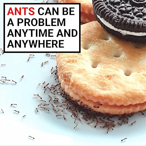 Miniatura 10 de A prueba de hormigas para plato de comida  Cuenco a prueba de hormigas para perros y gatos  Macetas y contenedores de escritorio sin productos