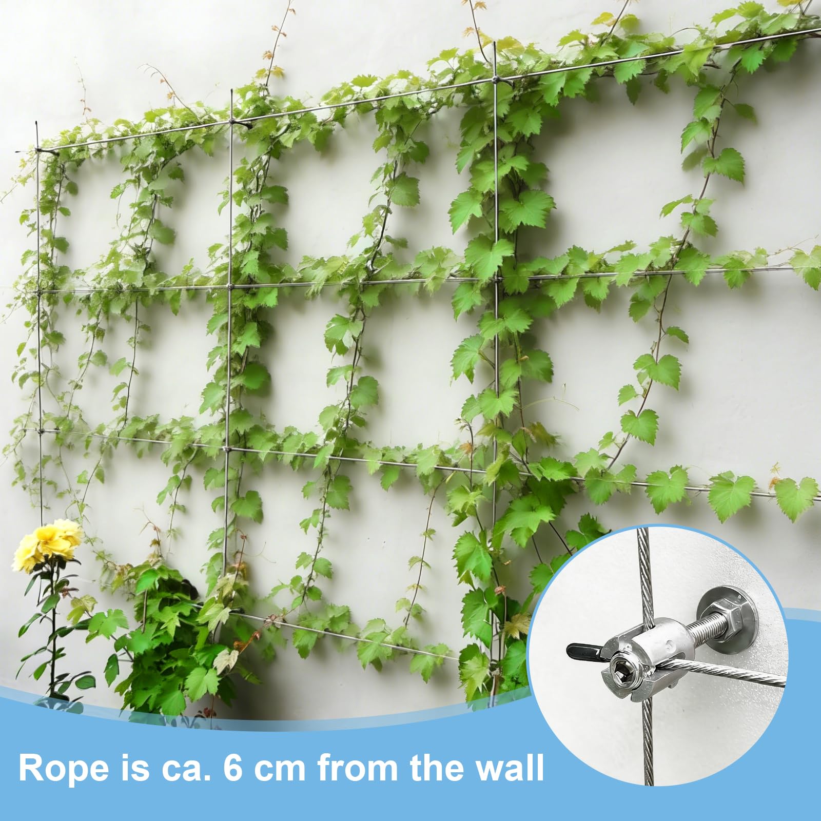 EXLECO Enrejado de Alambre Plantas Trepadoras, Kit de Enrejado de Alambre de Acero Inoxidable 316 con 8 Soportes & Cuerda 12M x 3mm, Soporte para Plantas Trepadoras Pared para Rosas Vides Tomates