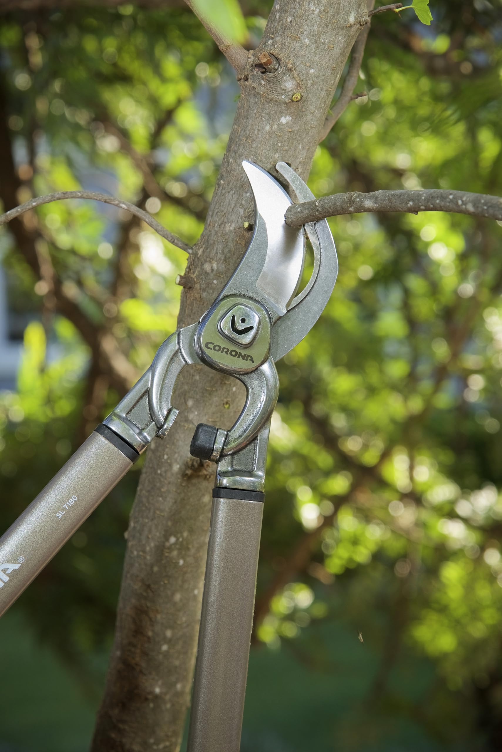 Amazon | Corona Tools | 32インチ ブランチ カッター DualCUT