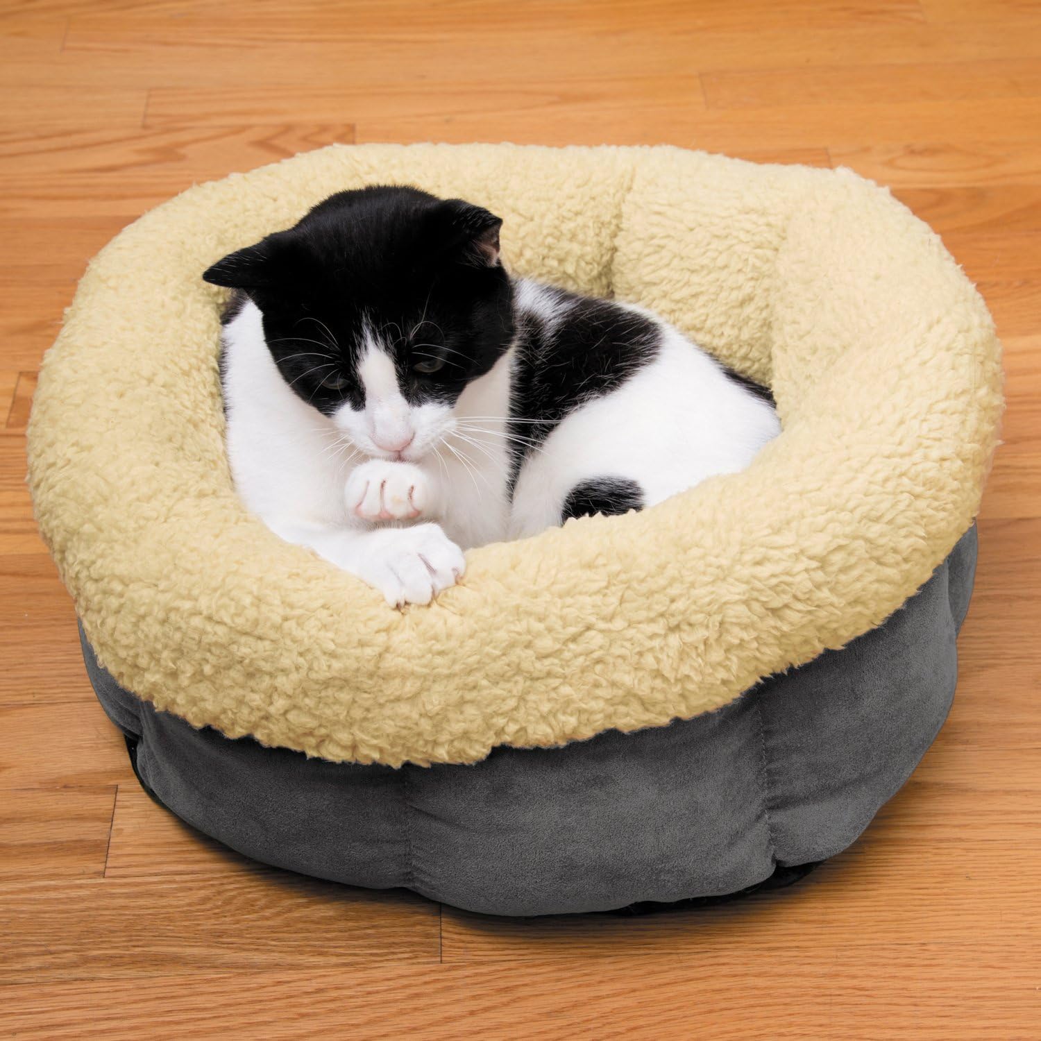 cat snuggle bed