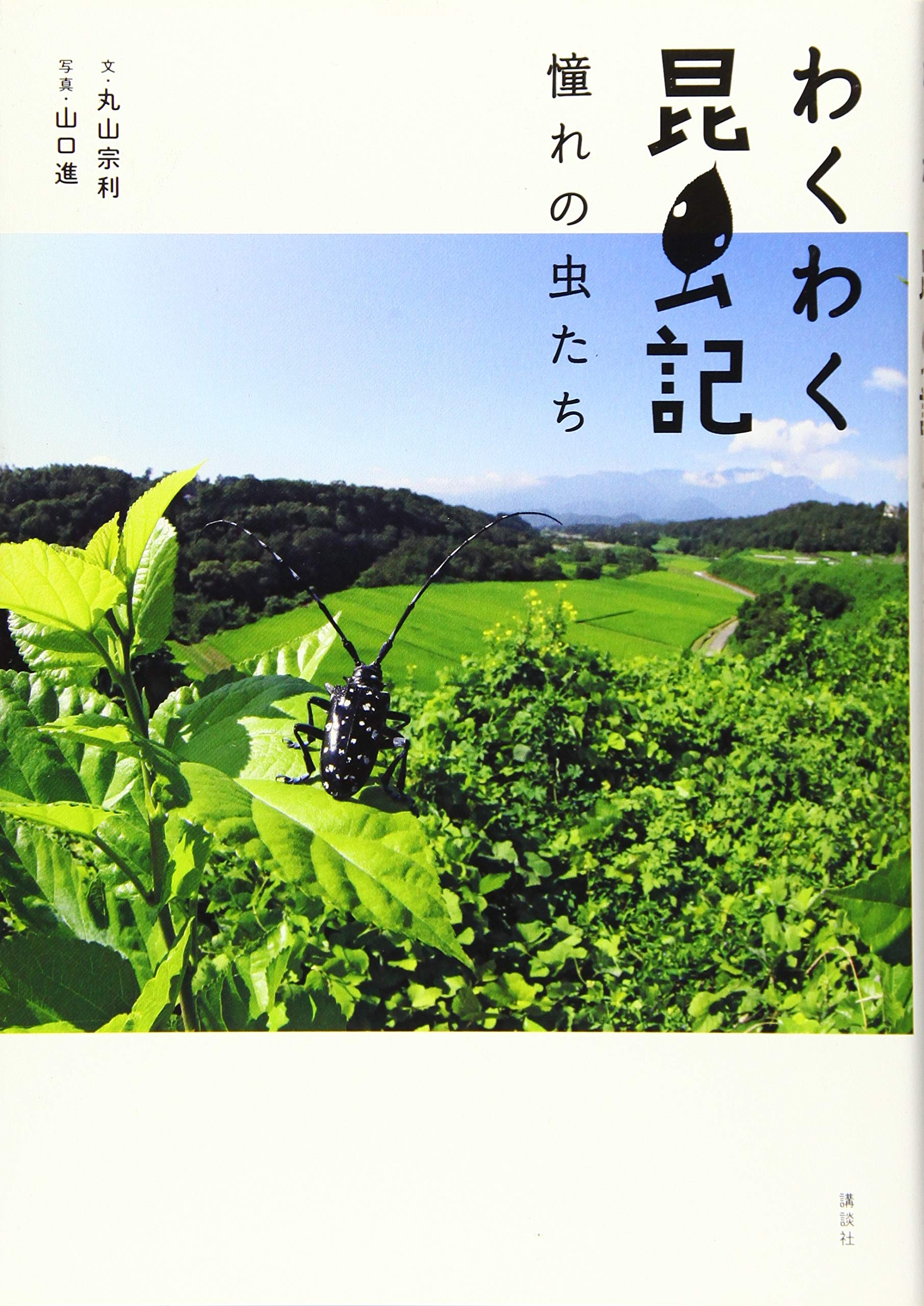 蟲笛【初版】【希少本】 蟲笛【初版】【希少本】