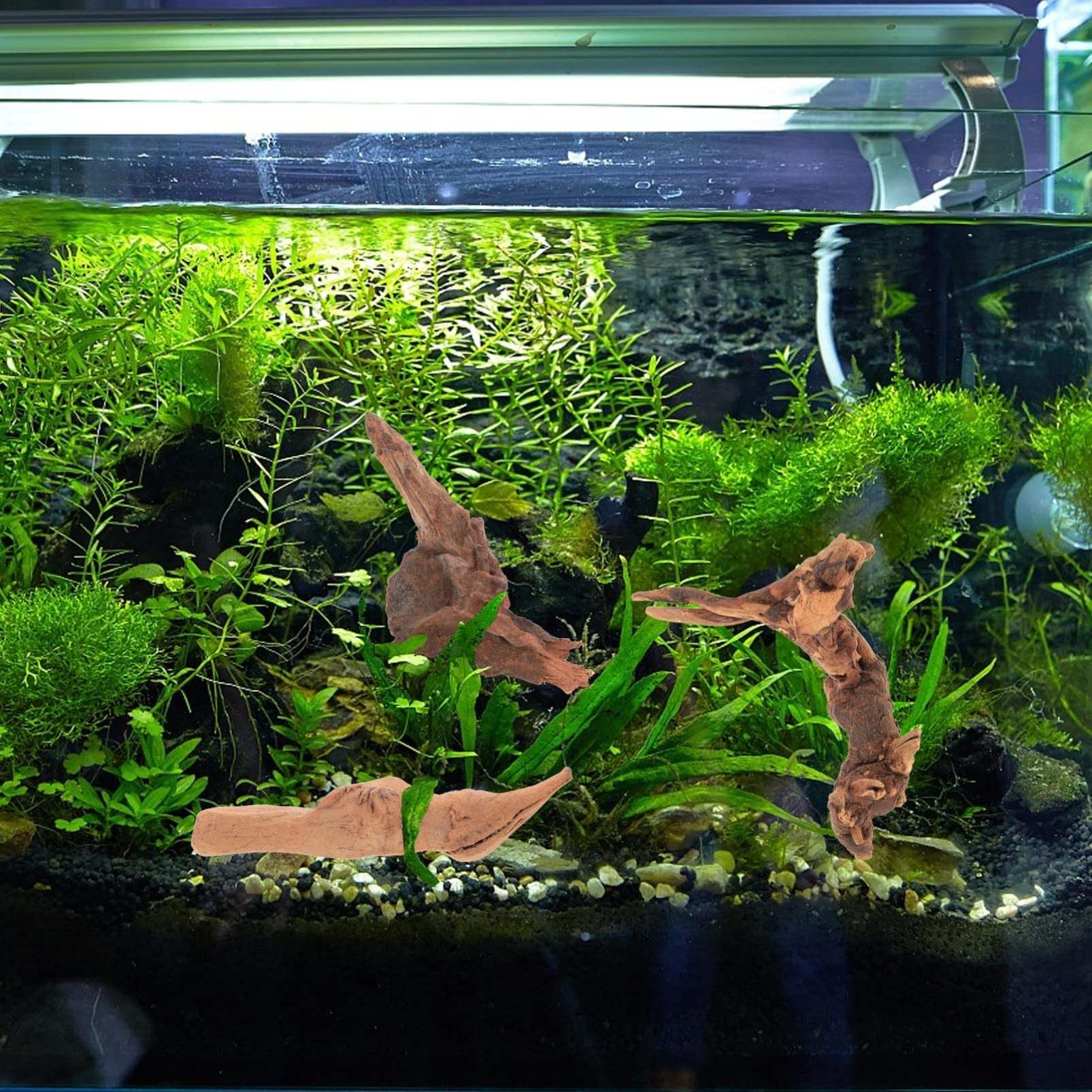 BESPORTBLE 5 Juegos Pecera Paisajismo Madera Hundida Adorno De Madera A La Decoración De Terrario Decoración De Reptiles De A La Decoraciones De Peceras Aire 3 Piezas * 5