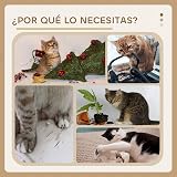 Ver la foto 4