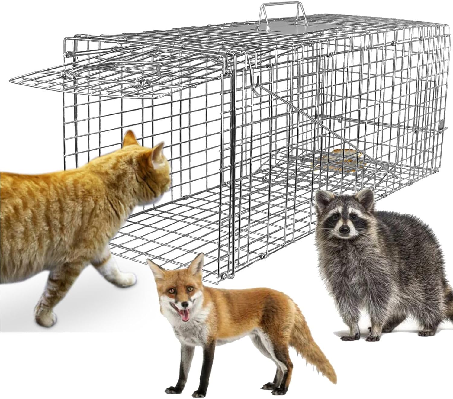 large live animal cage trap, 32"x12.5"x12" collapsible humane live animal cage trap, humane live trap cage for stray cat, chipmunk, groundhog, squirrel, raccoon, mole, gopher, skunk, rabbits