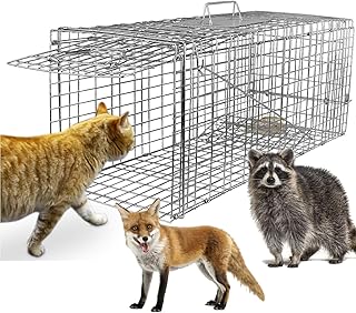 Large Live Animal Cage Trap, 32"x12.5"x12" Collapsible Humane Live Animal Cage Trap, Humane Live Trap Cage for Stray Cat, Chipmunk, Groundhog, Squirrel, Raccoon, Mole, Gopher, Skunk, Rabbits