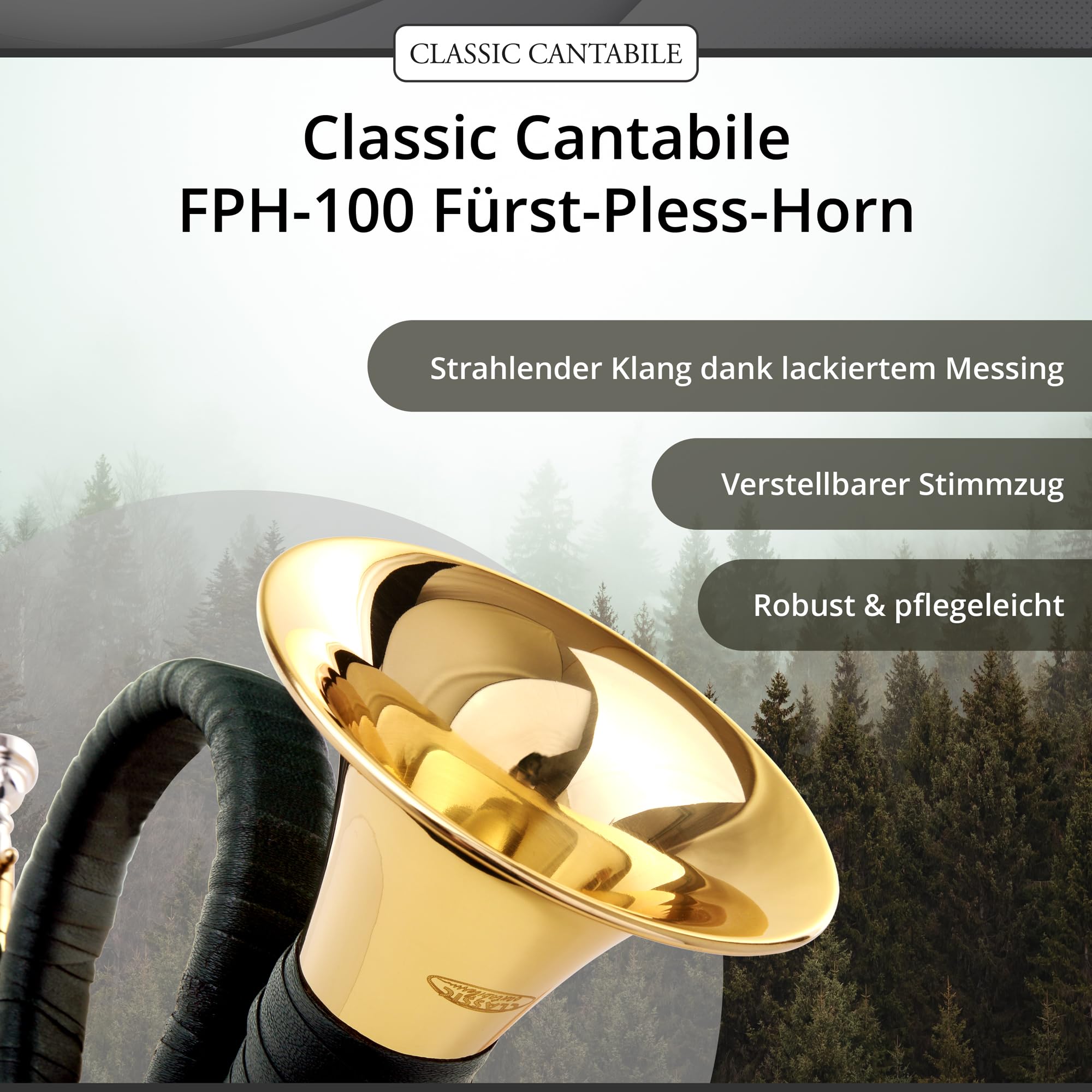 Classic Cantabile FPH-100 Fürst-Pless-Horn (accordage en si, laiton, avec embouchure et housse)