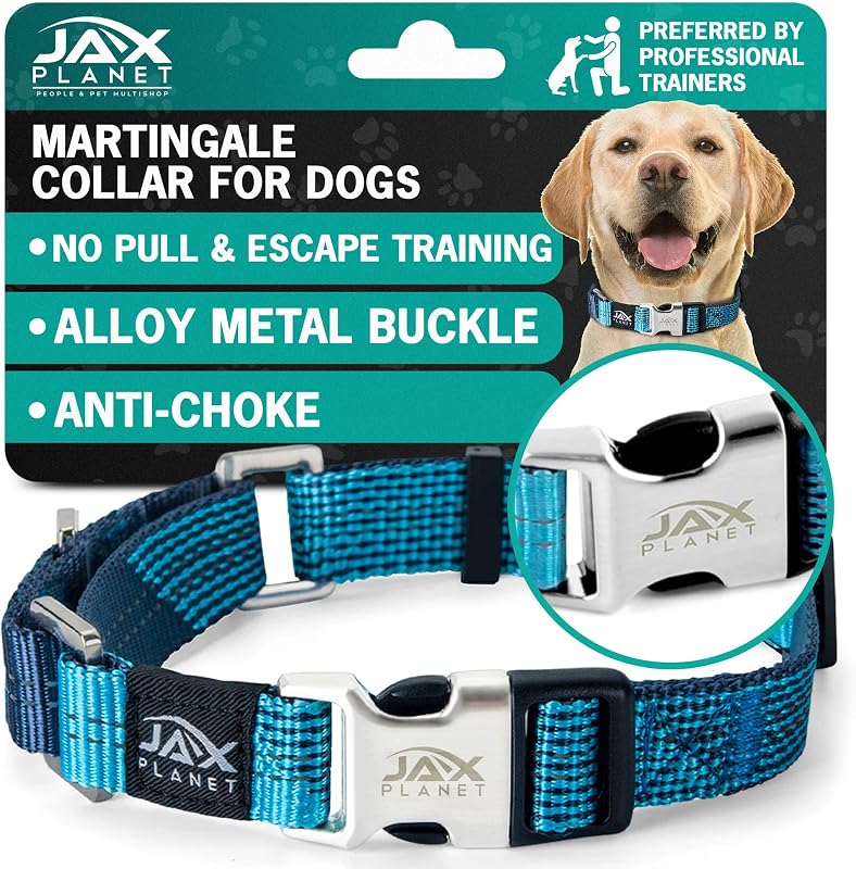 Martingale Collar for Dogs, 2-Way No Pull & No Slip, Metal Buckle, Blue | Heavy Duty Nylon, Quick Release AlloyHardware, Reflective Stitching, Adjustable Fit,Pull & Slip Control,Walking & Training