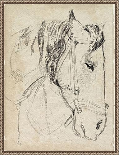 Amanti Art Lienzo enmarcado para pared, diseño de caballo en brida, 24 x 18 pulgadas, boceto I de Jennifer Paxton Parker, lienzo enmarcado para