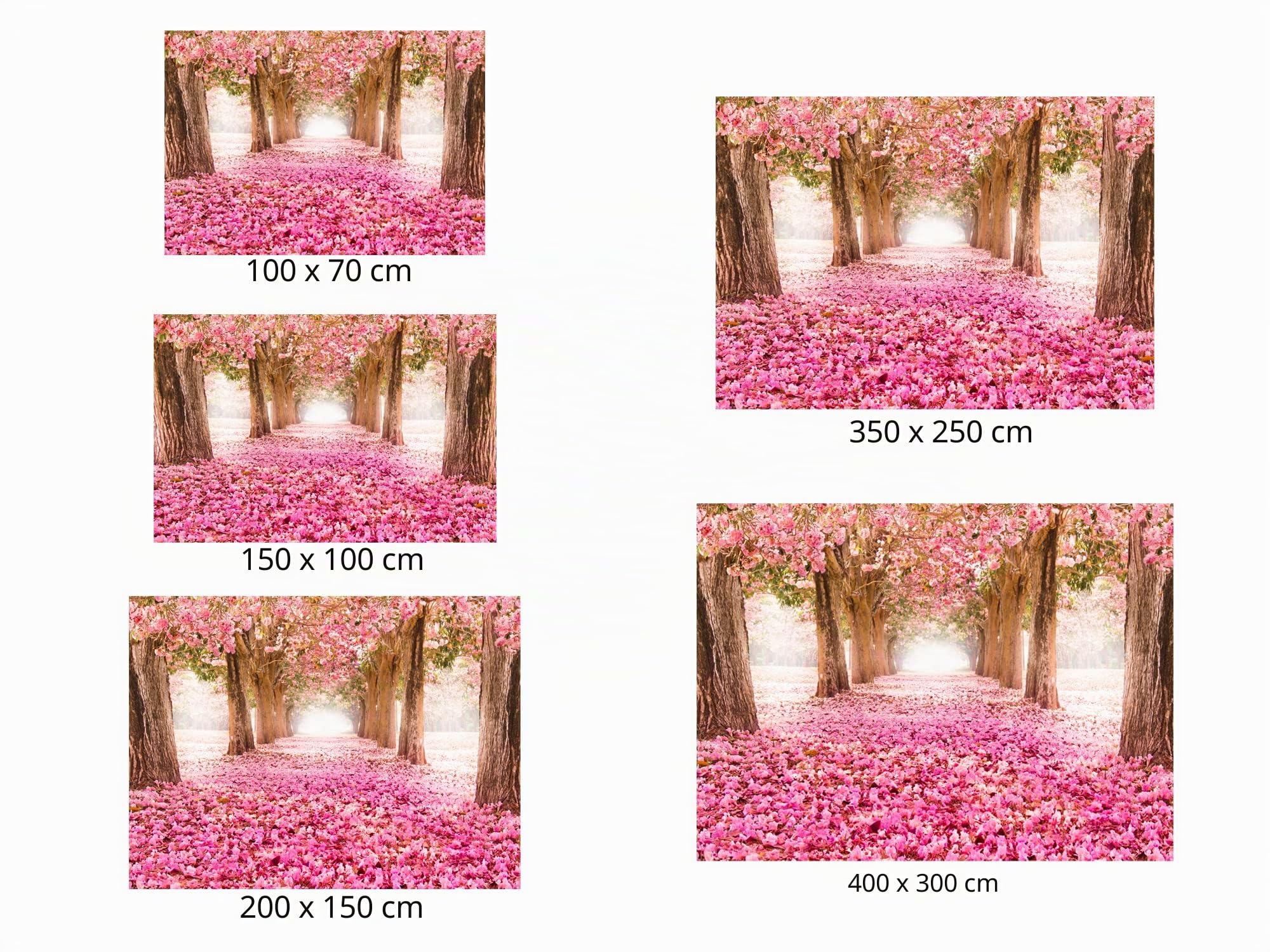Oedim Fotomural Vinilo para Pared Paisaje Rosas | Económico | Decorativo | 200 x 150 cm | Comedores, Salones, Habitaciones