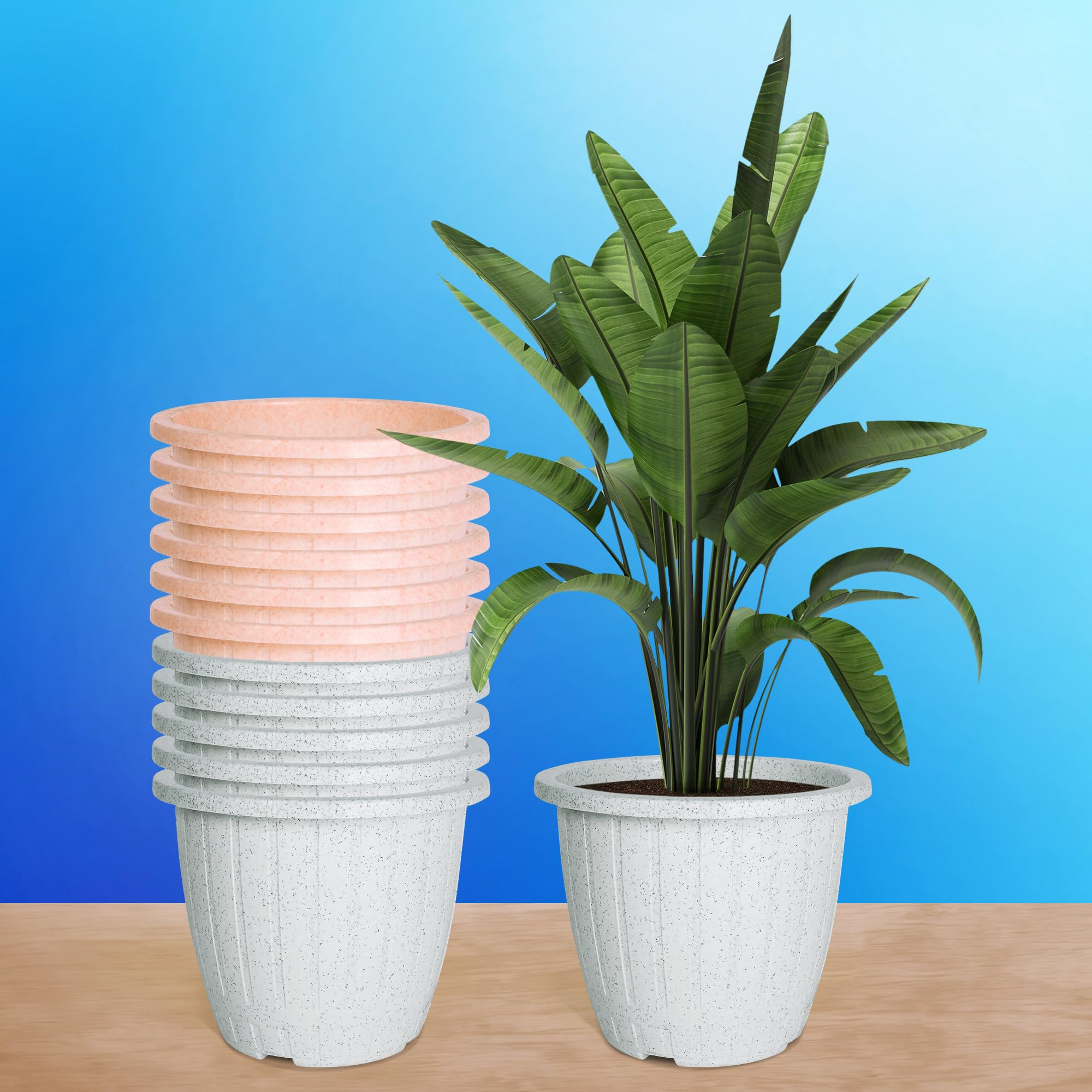 Kuber Industries Pack of 12 Flower Pot | 8 Inch | Flower Pot for Living Room | Planters for Home-Lawns & Gardening | Window Flower Pots for Balcony | Marble Duro | White & Peach (B0D4HVQW8J) Amazon Price History, Amazon Price Tracker